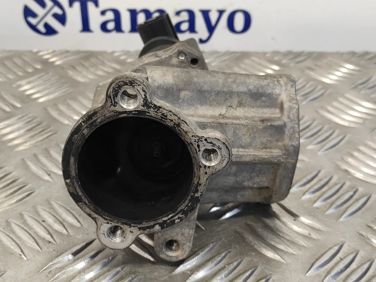 Valvula Egr para Fiat Doblo (119)