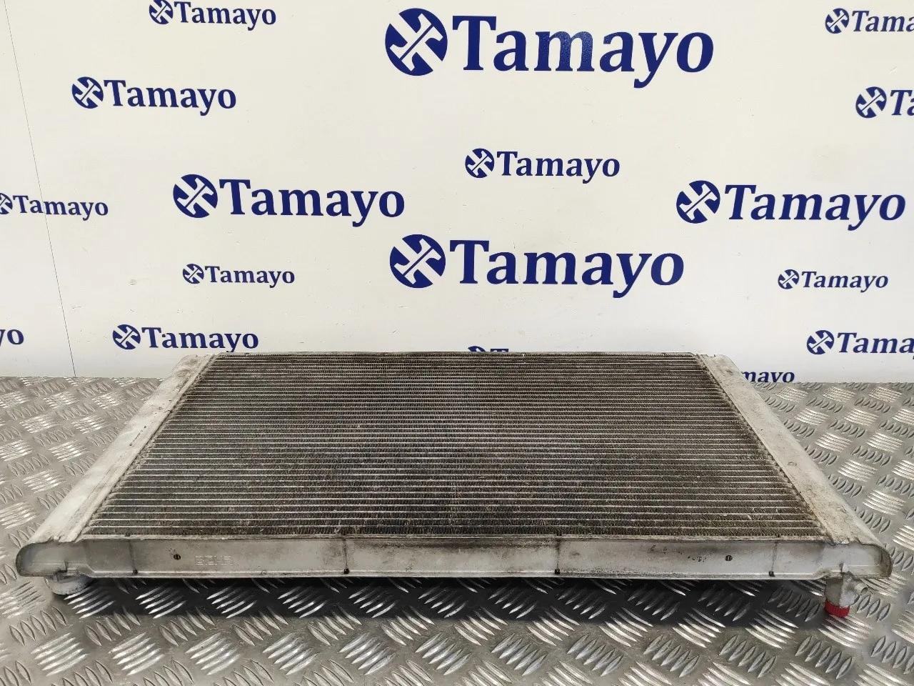 Radiador Agua para Bmw Serie 5 Berlina (E60)