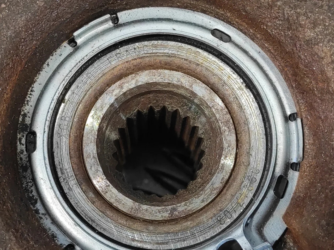 Mangueta Delantera Derecha para Dacia Sandero