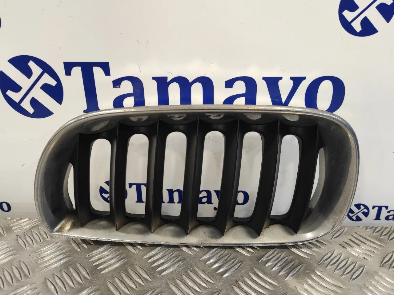 Rejilla Delantera para Bmw X3 (E83)