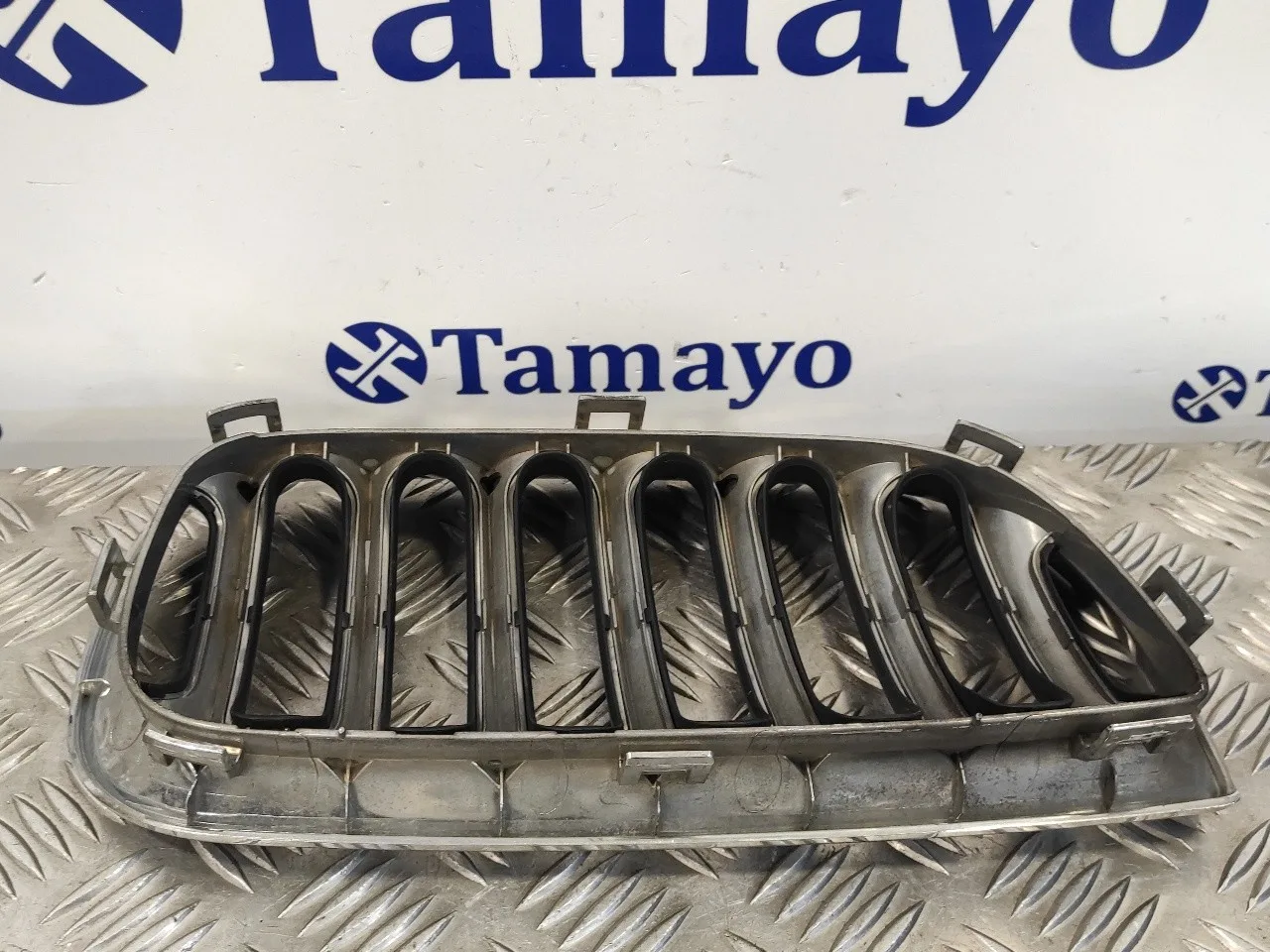 Rejilla Delantera para Bmw X3 (E83)