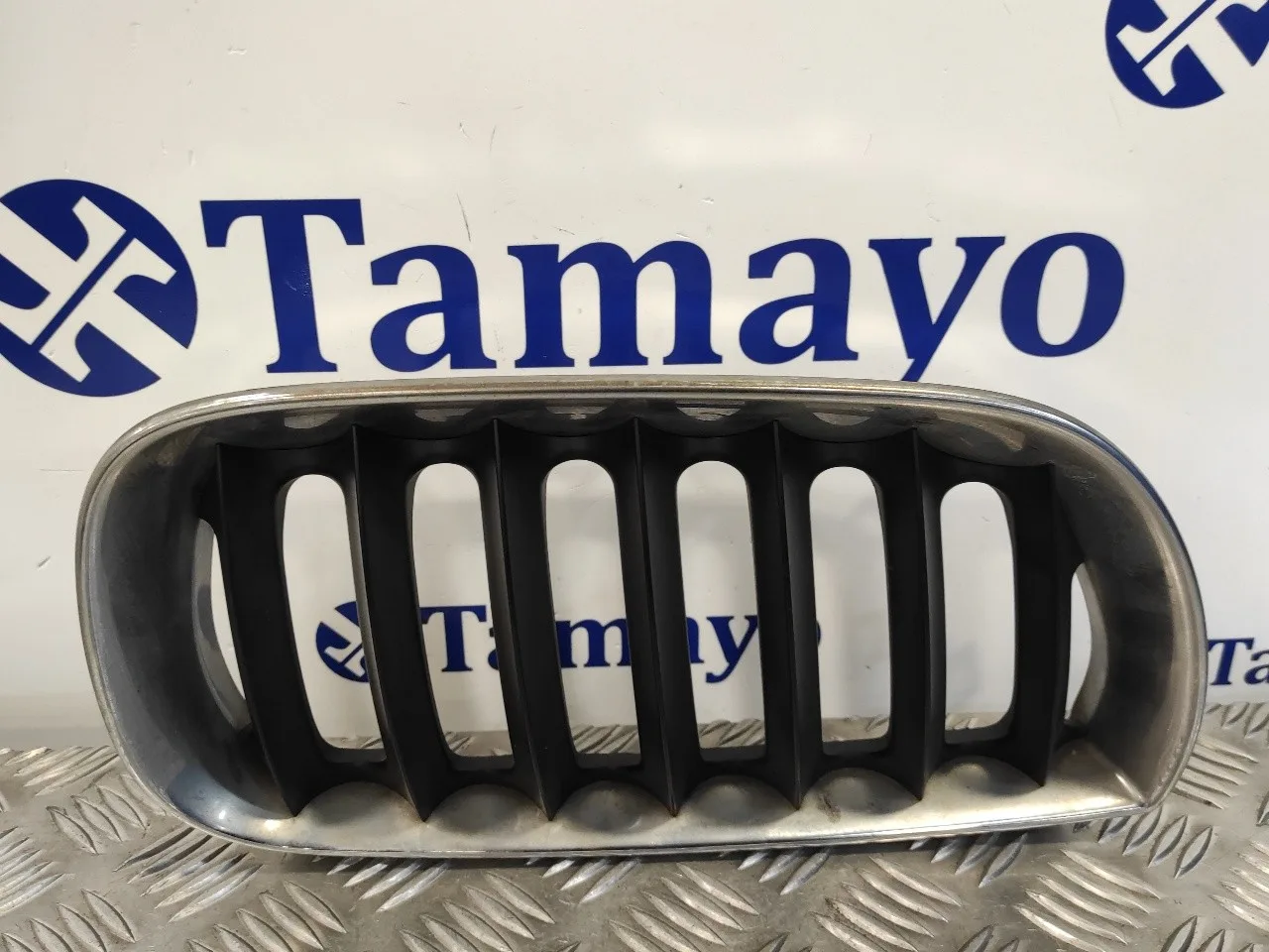 Rejilla Delantera para Bmw X3 (E83)