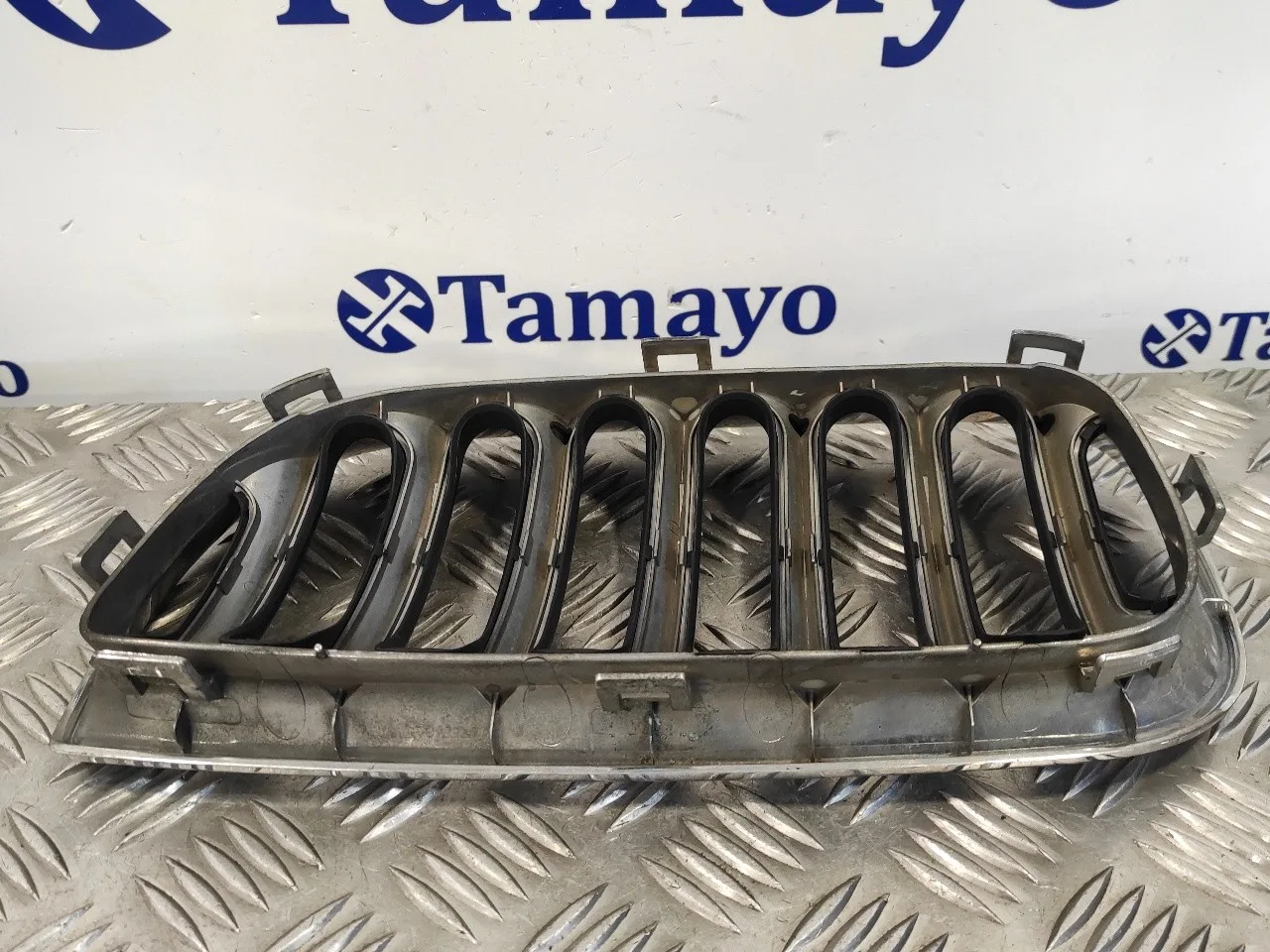 Rejilla Delantera para Bmw X3 (E83)