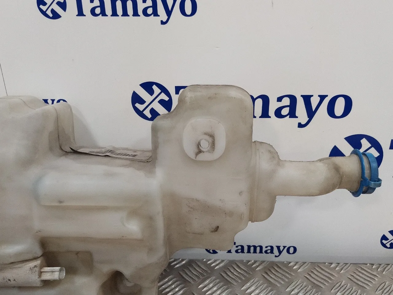 Deposito Limpia para Mercedes-Benz Clase R (W251)