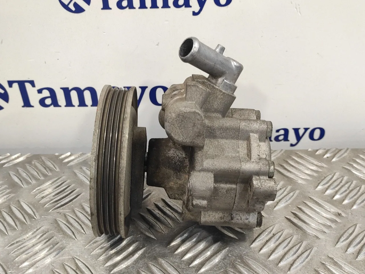 Bomba Servodireccion para Fiat Doblo (119)