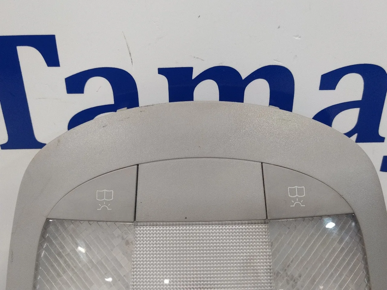 Luz Interior para Mercedes-Benz Clase R (W251)