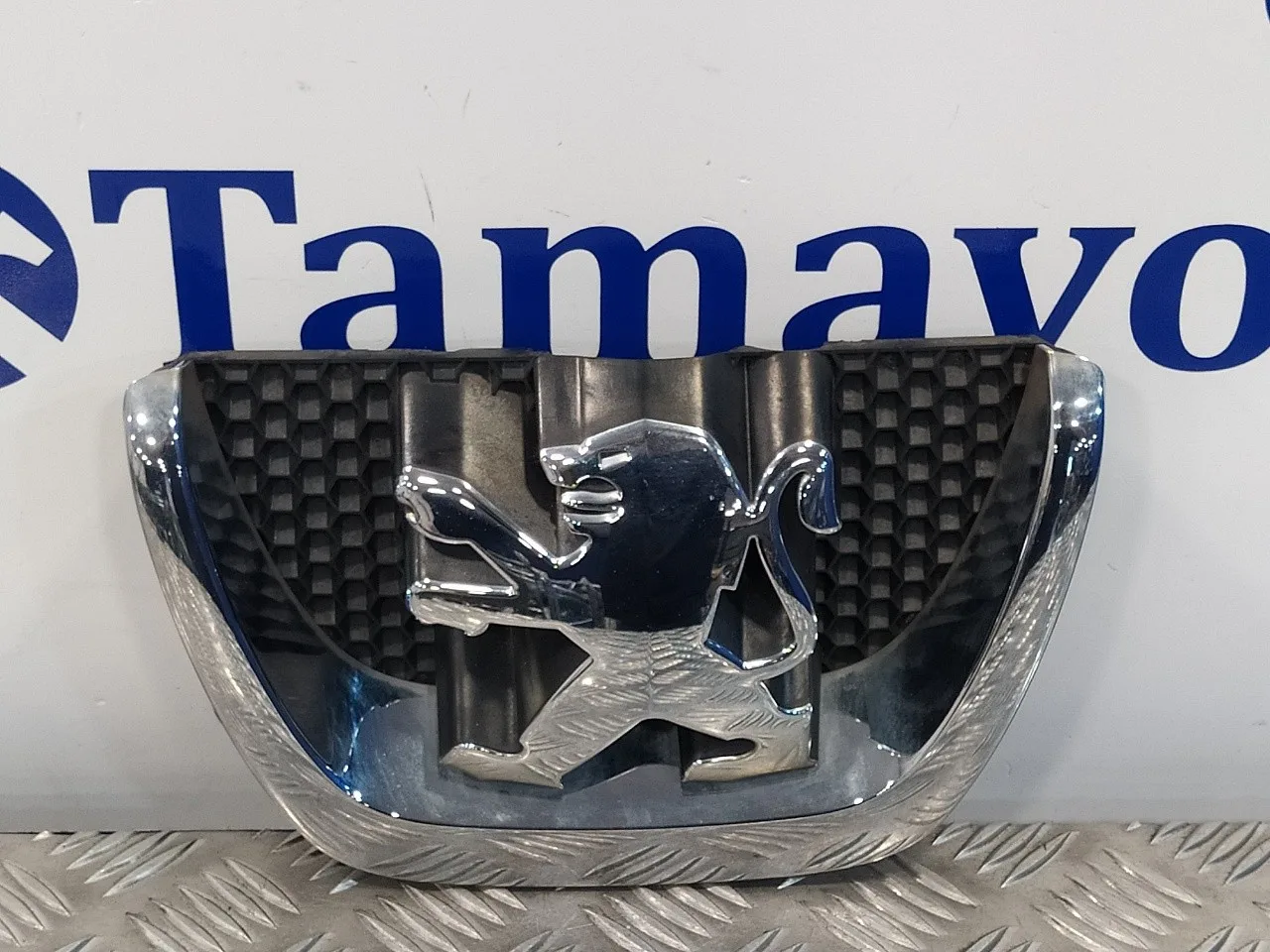 Rejilla Delantera para Peugeot 5008