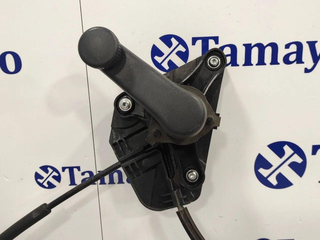 Elevalunas Trasero Derecho para Seat Toledo (Kg3)