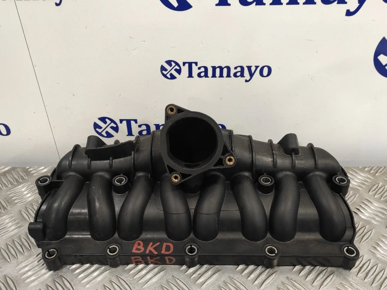 Colector Admision para Audi A3 (8P)