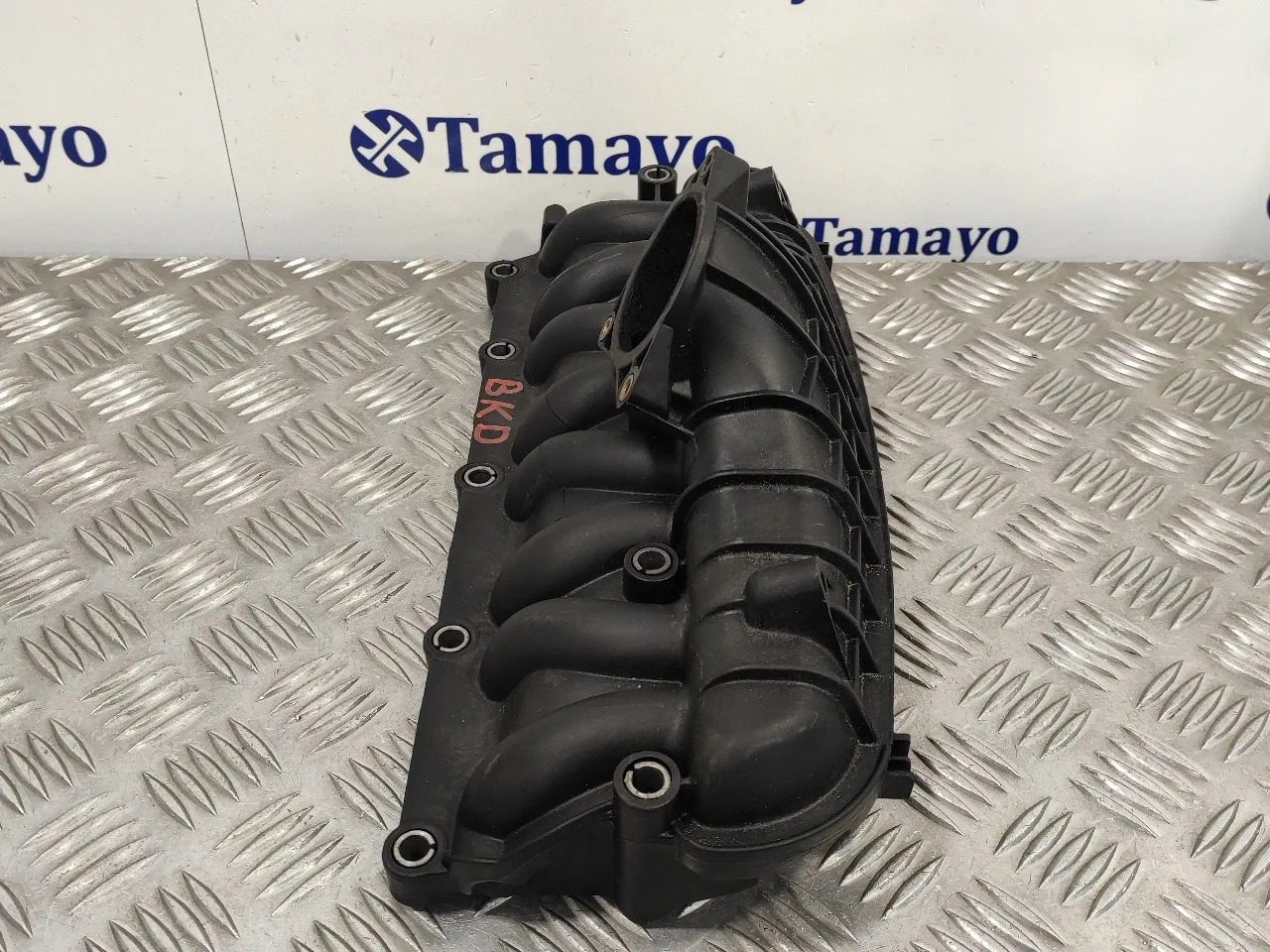 Colector Admision para Audi A3 (8P)