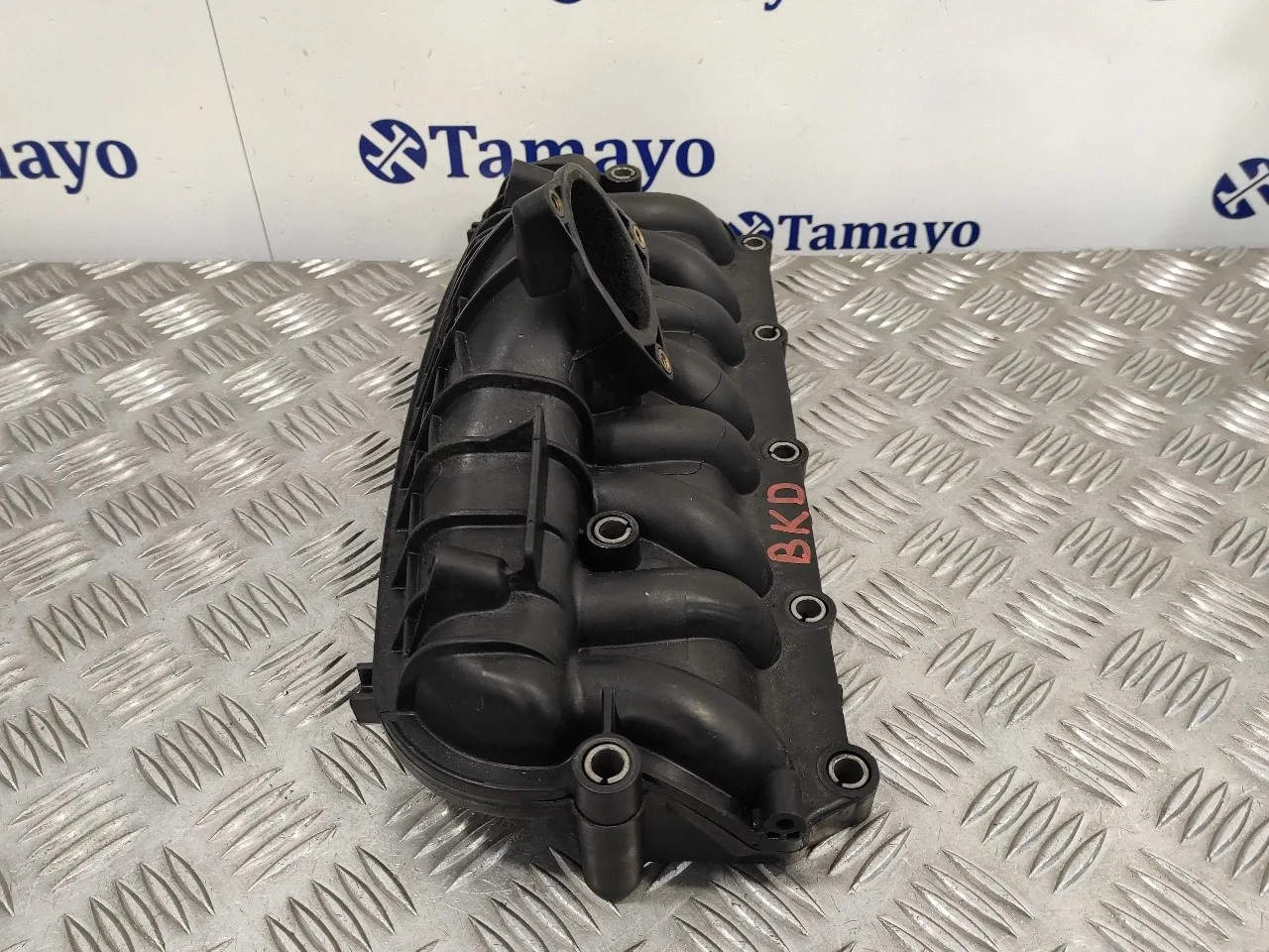 Colector Admision para Audi A3 (8P)