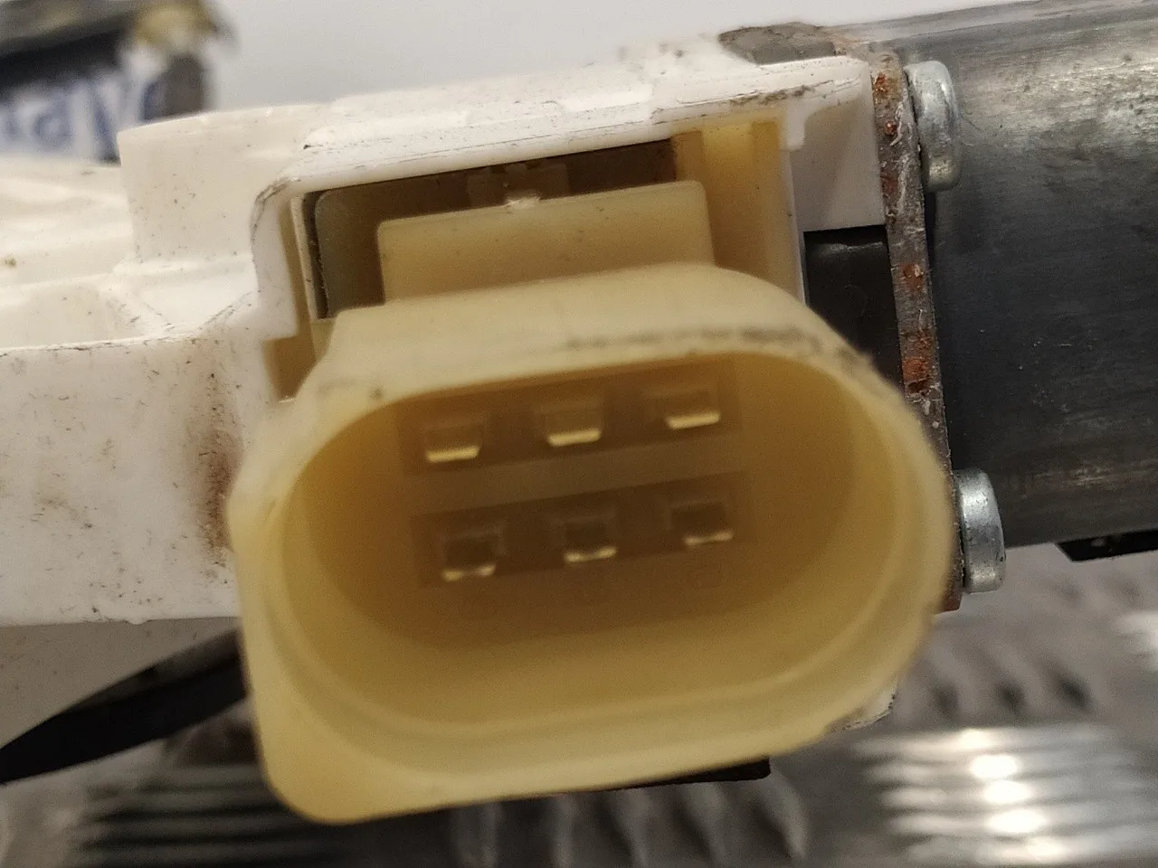 Elevalunas Delantero Derecho para Bmw X1 (E84)