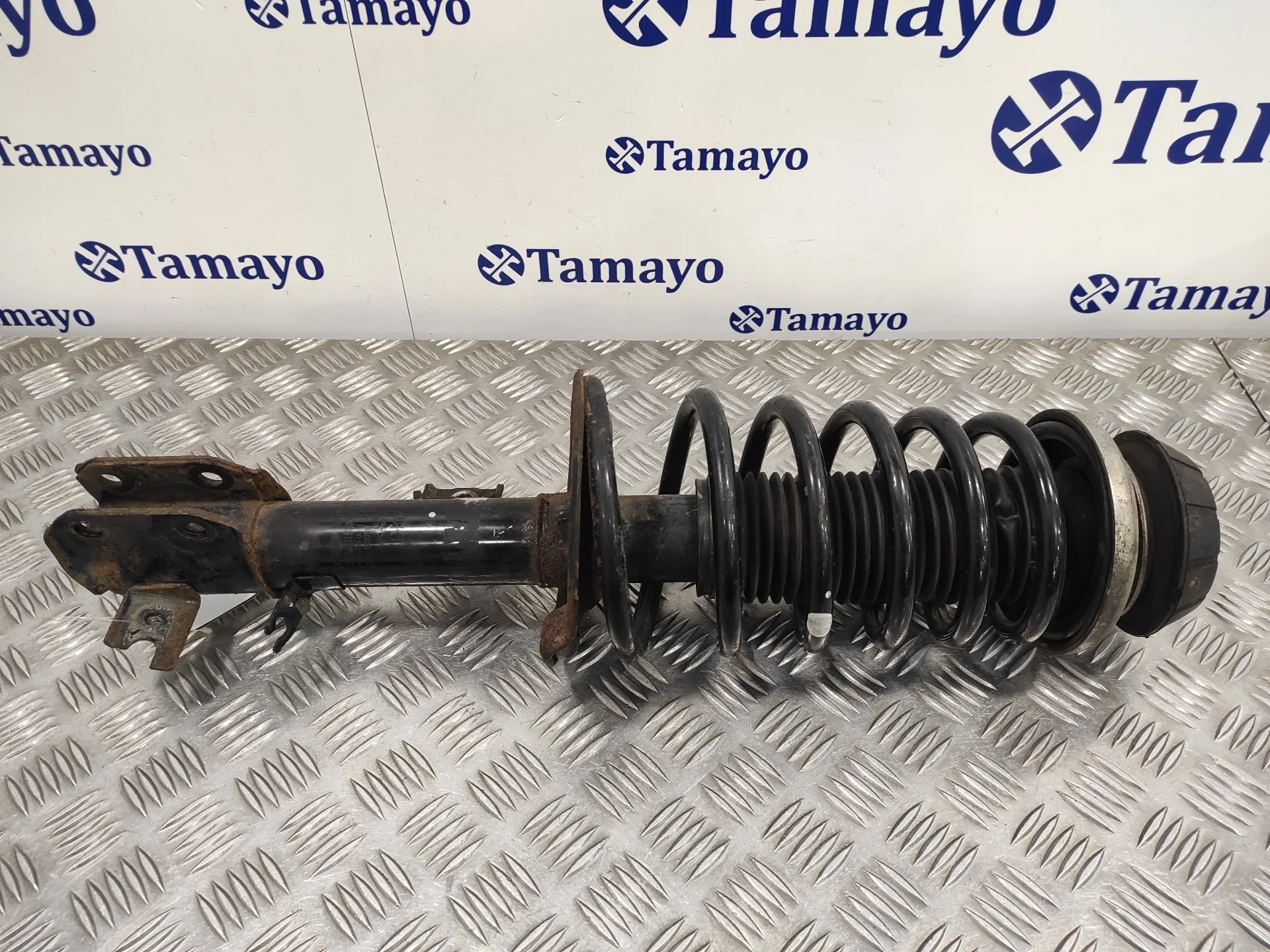 Amortiguador Delantero Derecho para Suzuki Sx4 Rw (Ey)