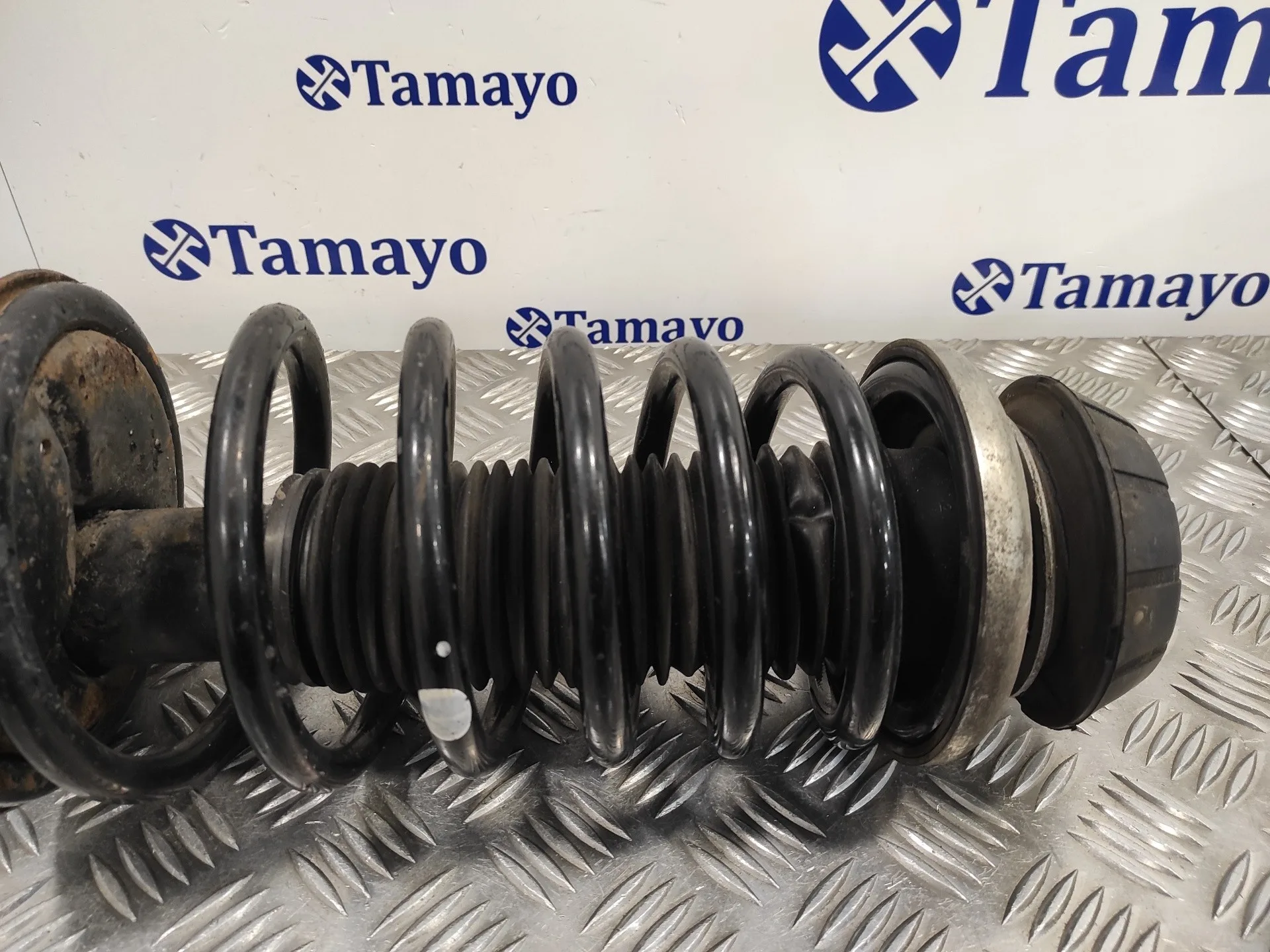 Amortiguador Delantero Derecho para Suzuki Sx4 Rw (Ey)