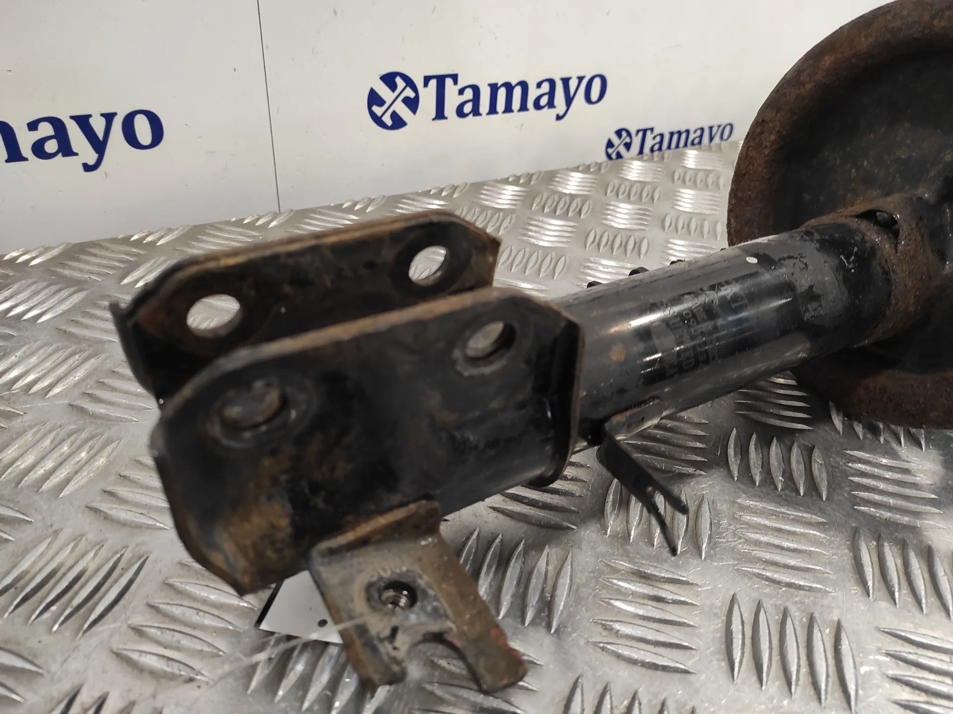 Amortiguador Delantero Derecho para Suzuki Sx4 Rw (Ey)