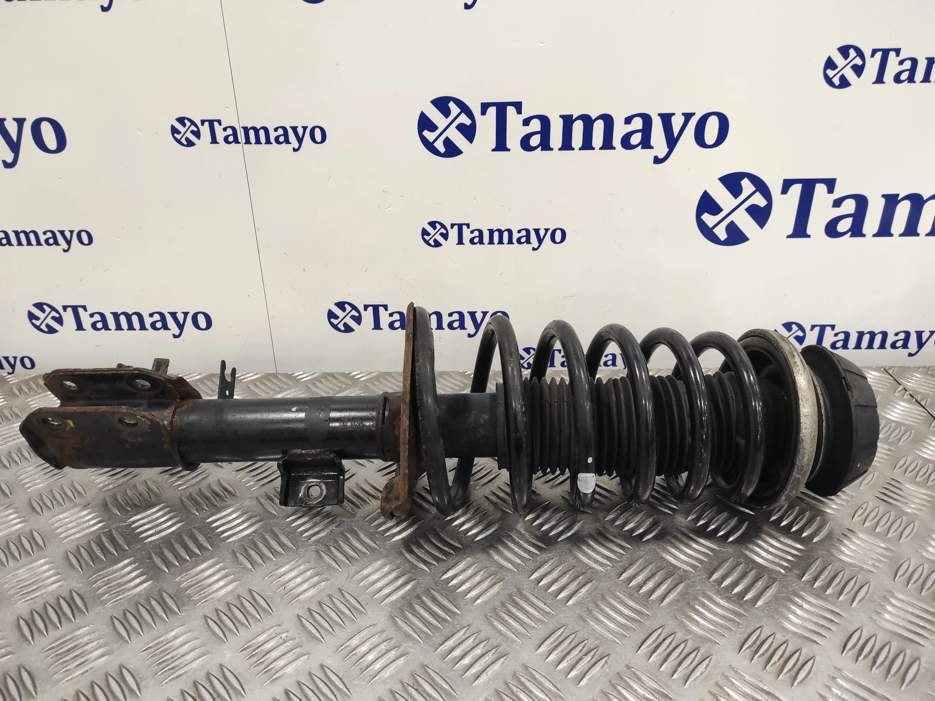 Amortiguador Delantero Izquierdo para Suzuki Sx4 Rw (Ey)