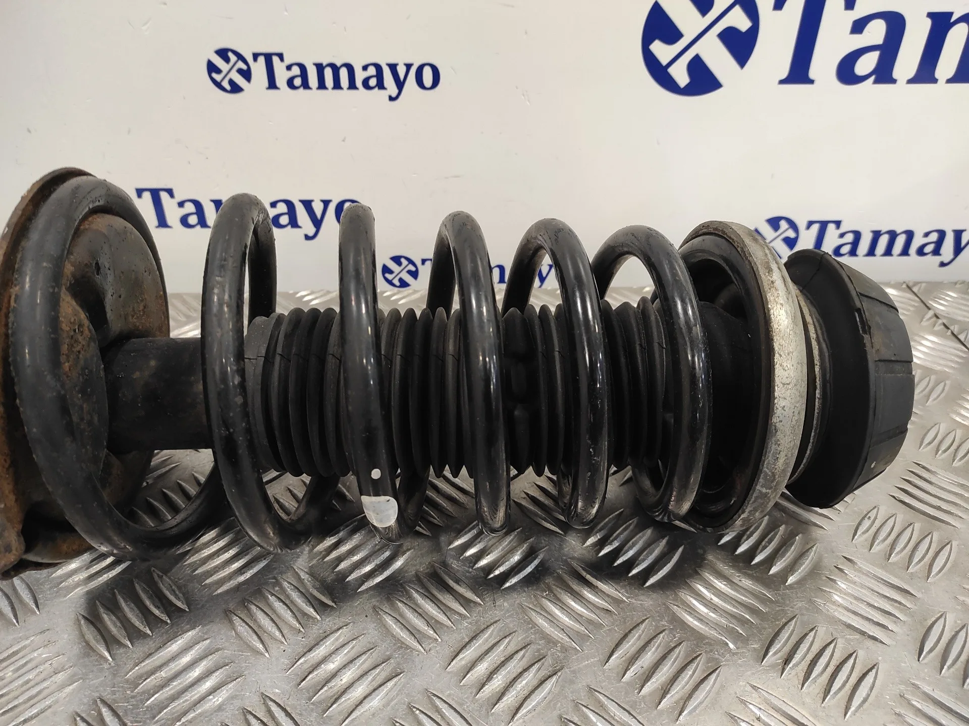 Amortiguador Delantero Izquierdo para Suzuki Sx4 Rw (Ey)