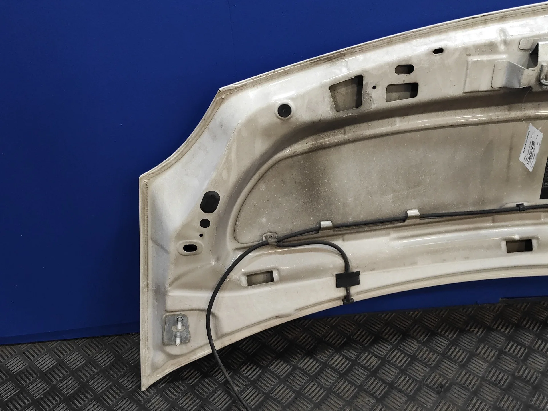 Capot para Renault Kangoo