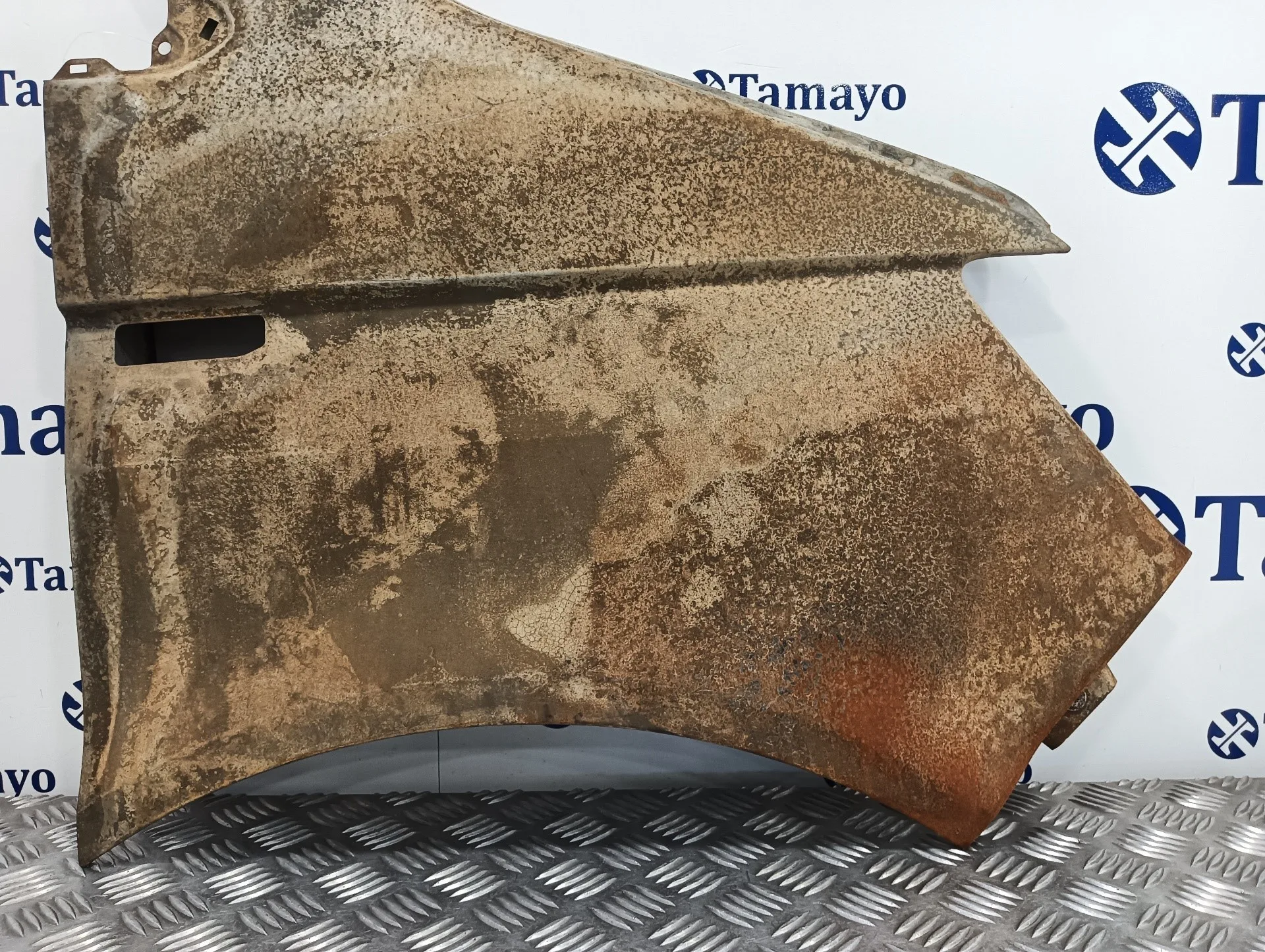 Aleta Delantera Derecha para Volkswagen T6 Transporter