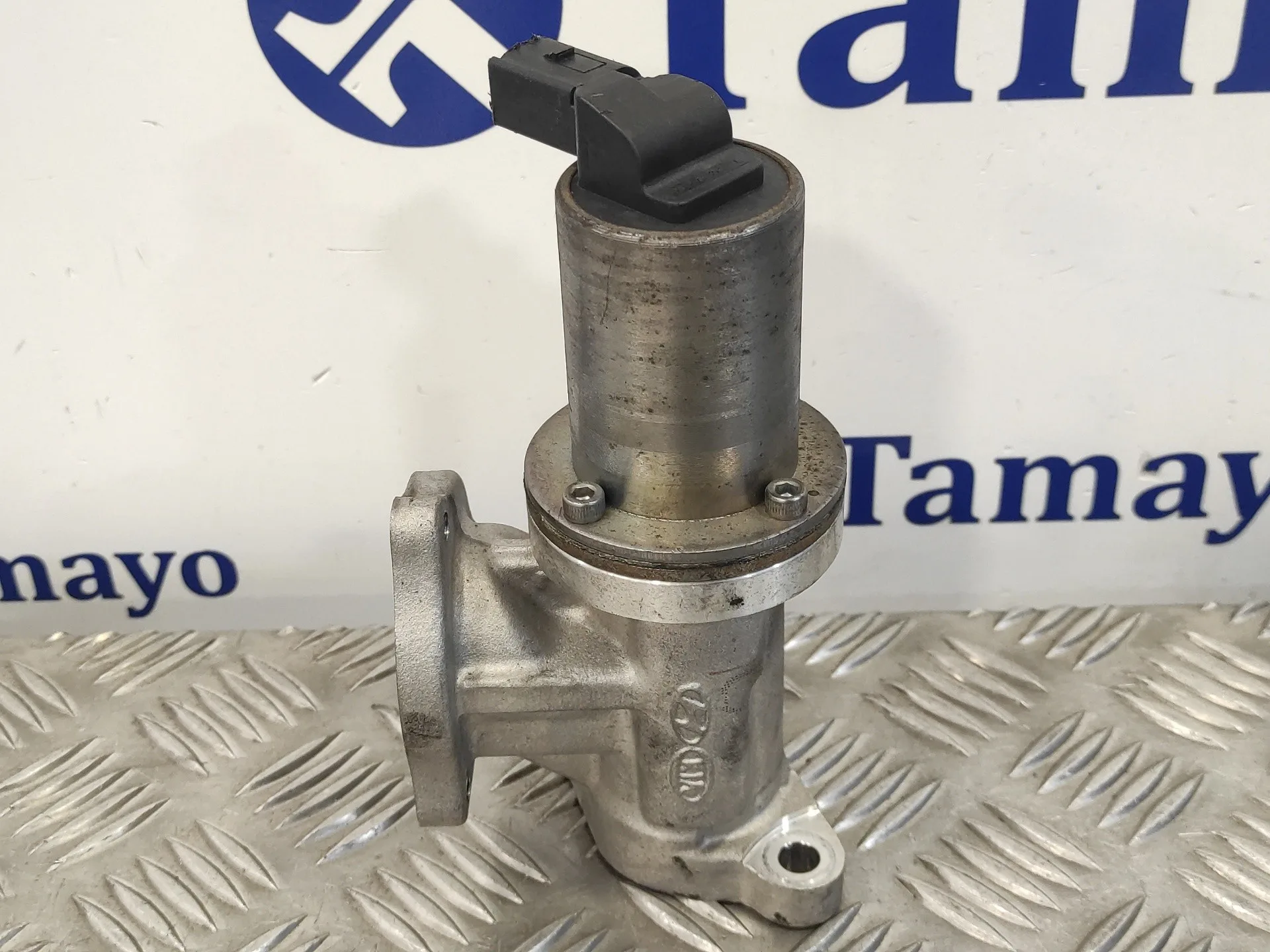 Valvula Egr para Hyundai Santa Fe (Bm)