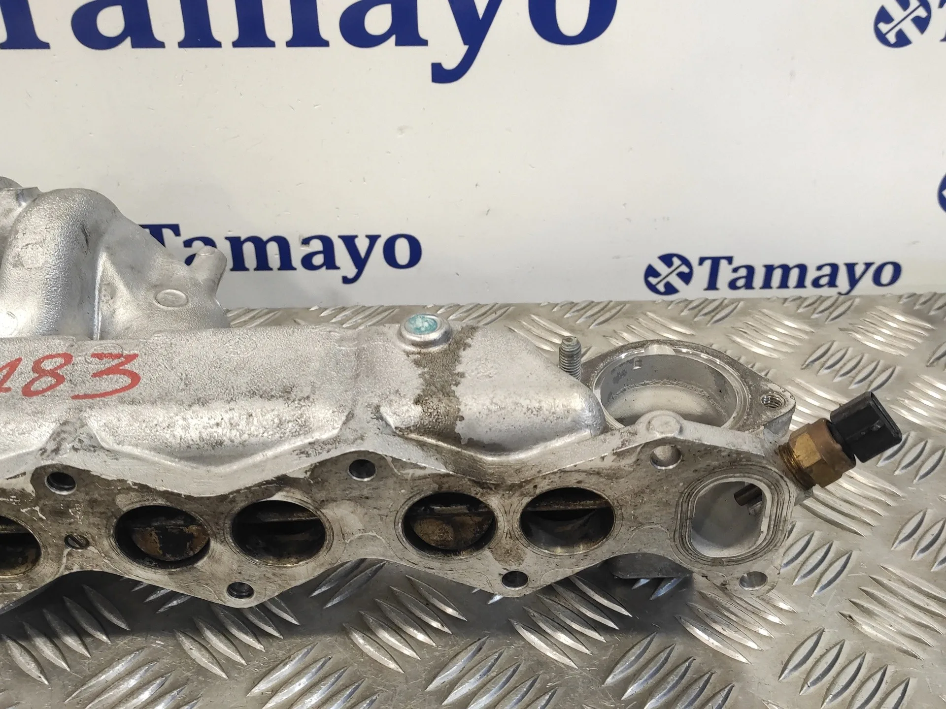 Colector Admision para Hyundai Santa Fe (Bm)