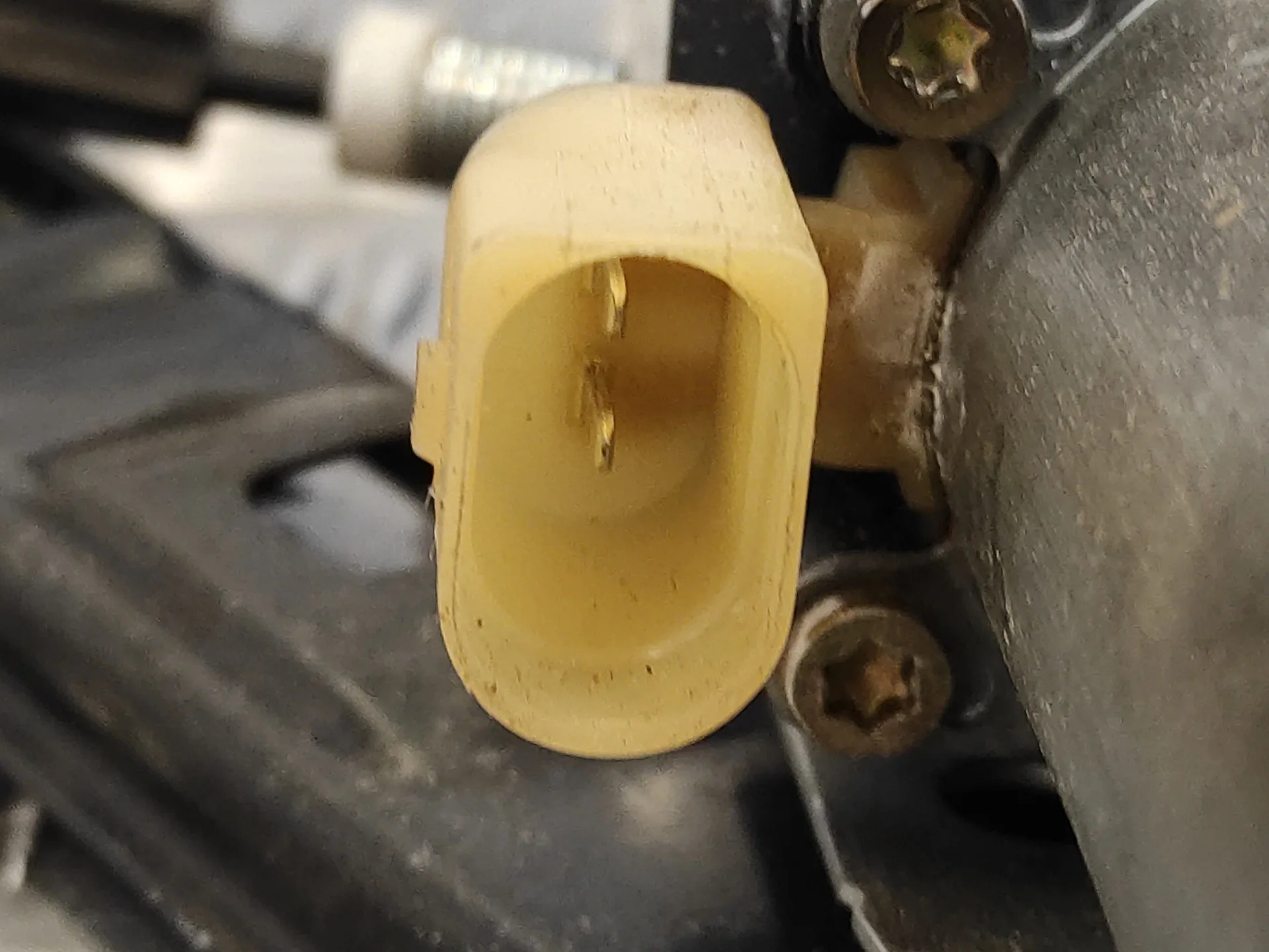 Elevalunas Delantero Derecho para Bmw Serie 3 Touring (E46)