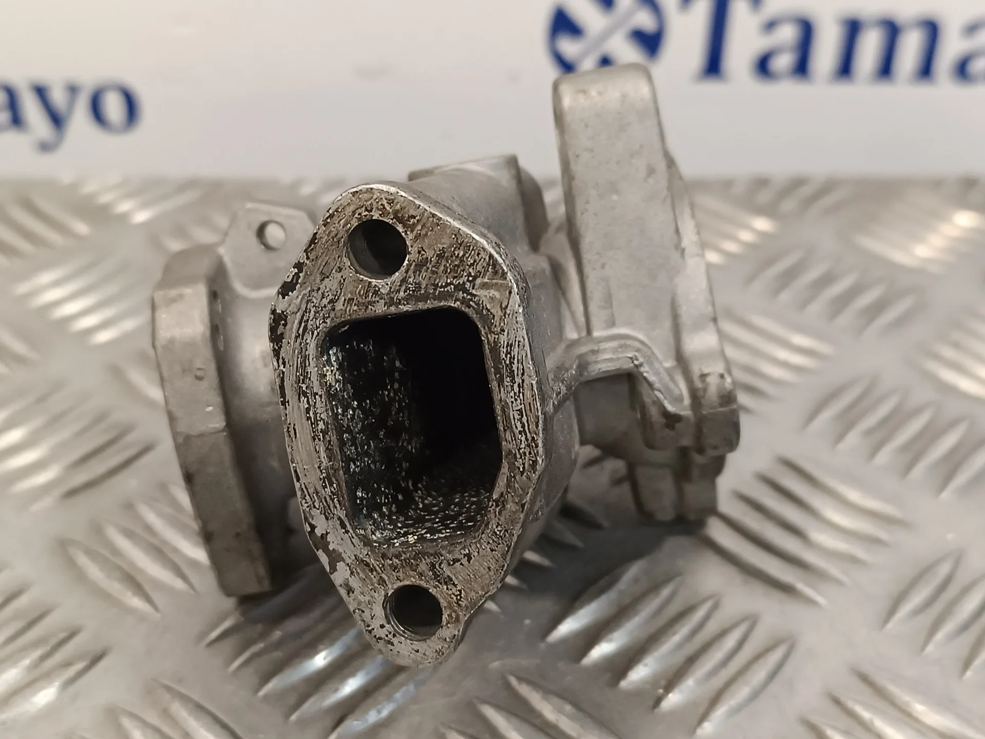 Valvula Egr para Fiat Doblo I Cargo
