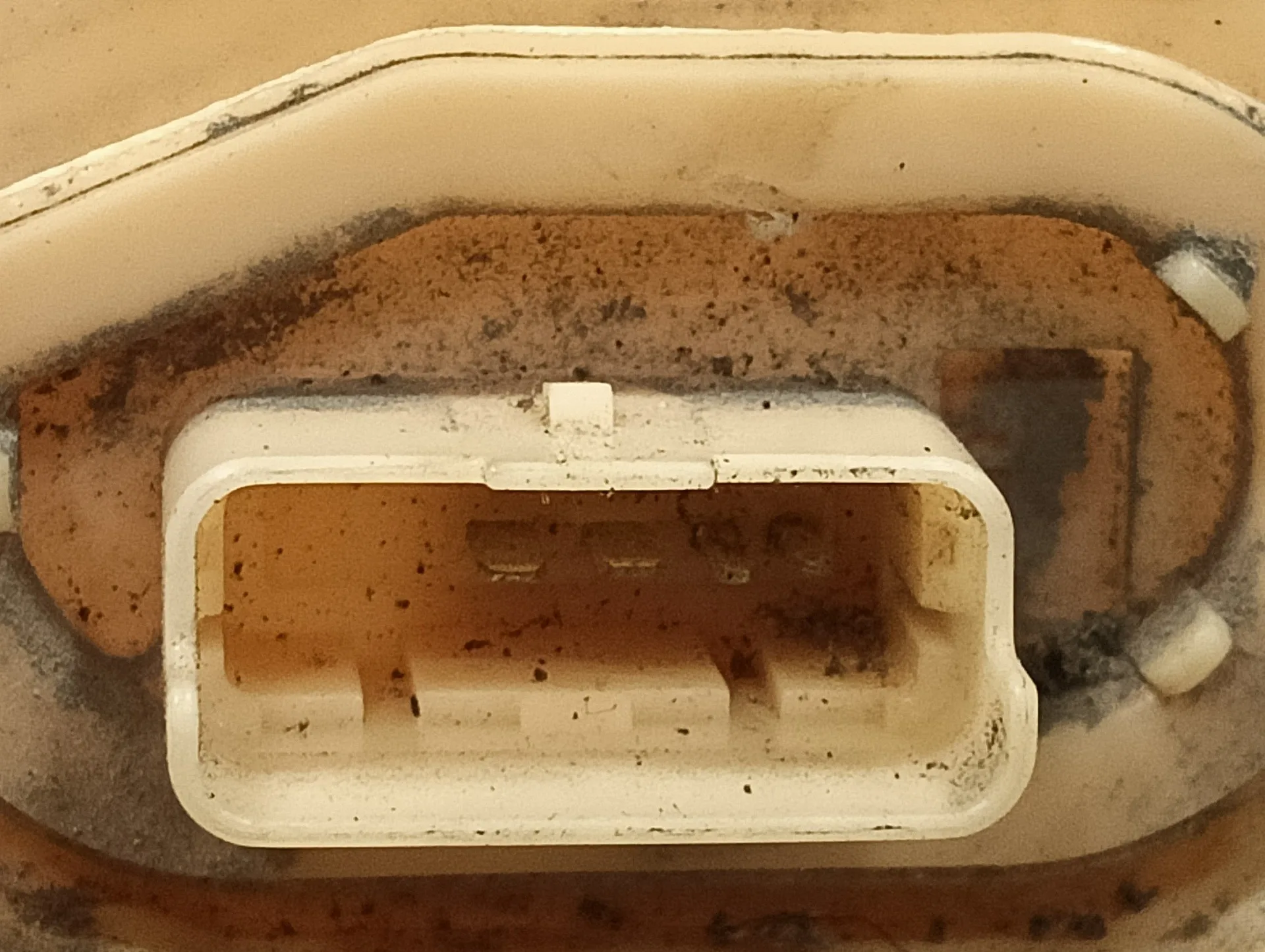 Aforador para Peugeot 3008