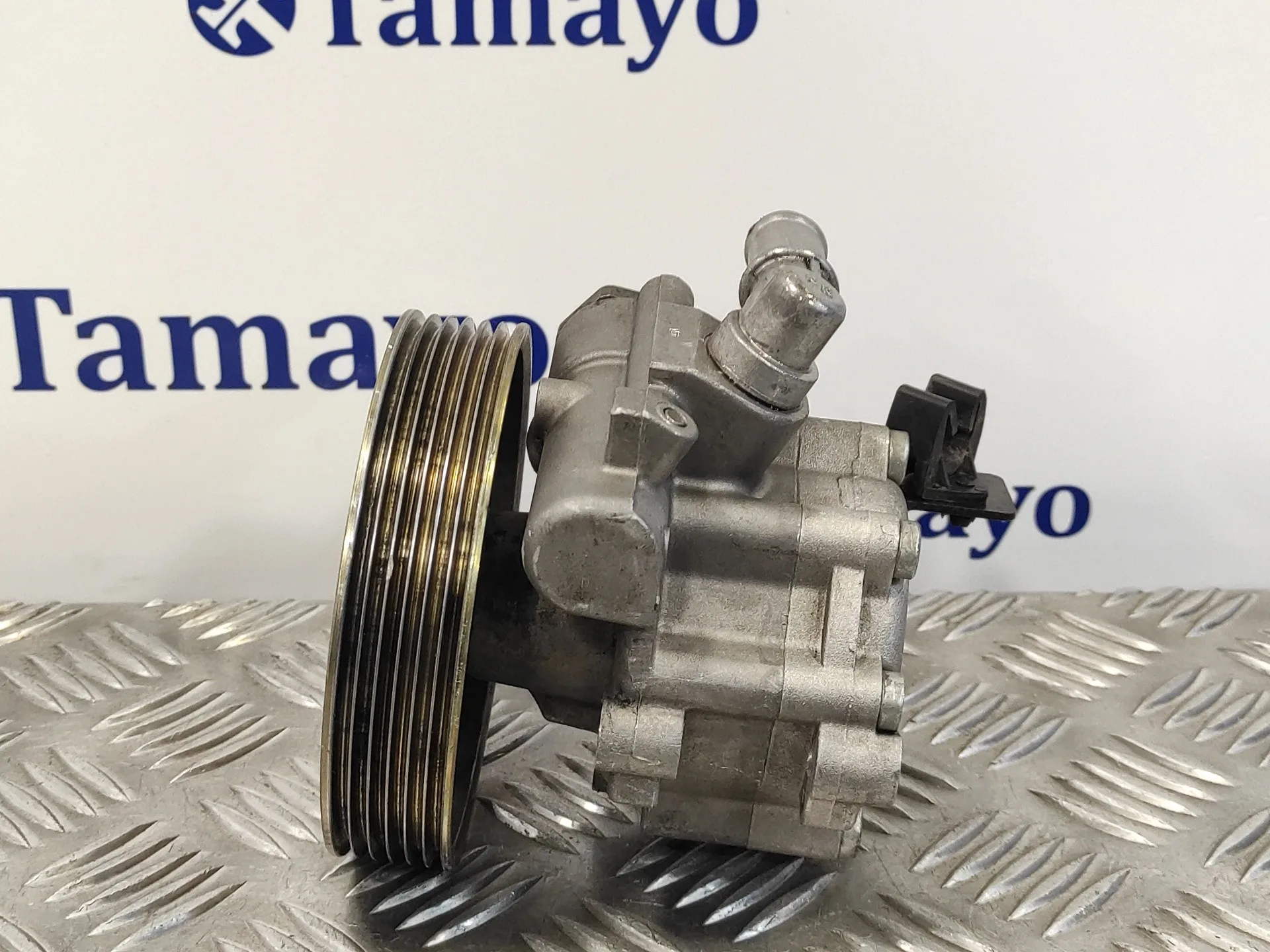 Bomba Direccion para Fiat Scudo (222)