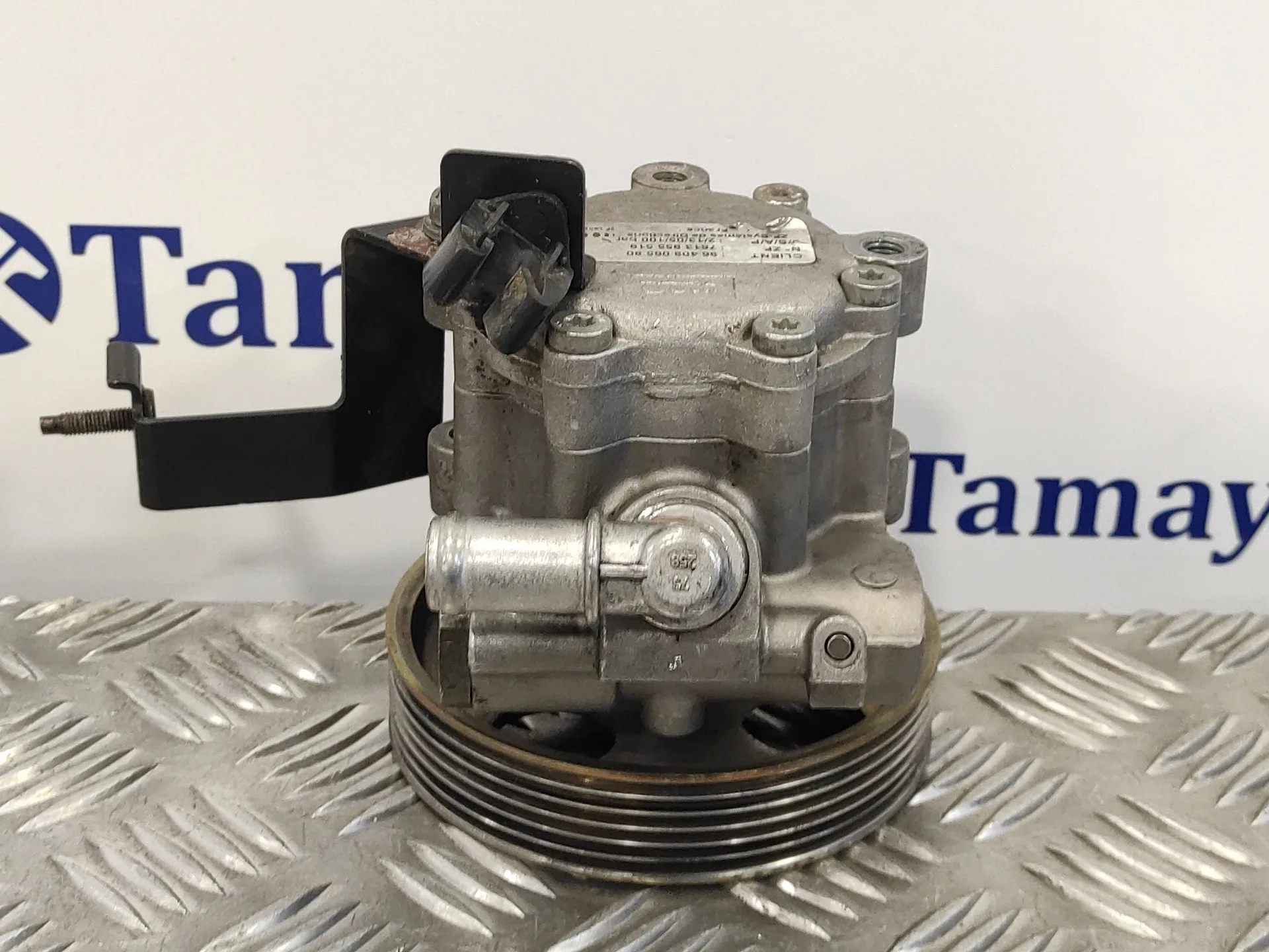 Bomba Direccion para Fiat Scudo (222)