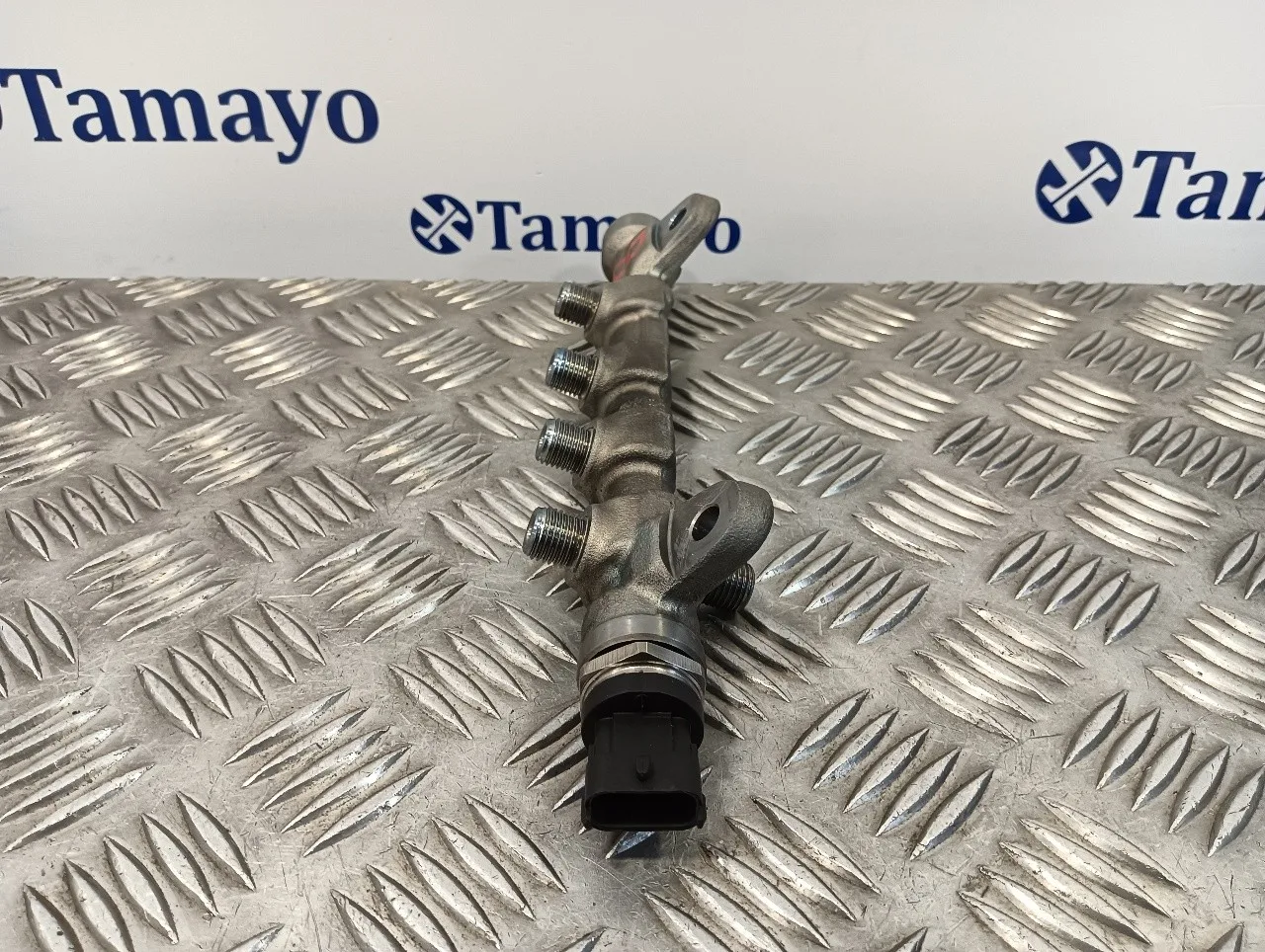 Rampa Inyectora para Bmw Serie 6 Coupe (F13) (....->)
