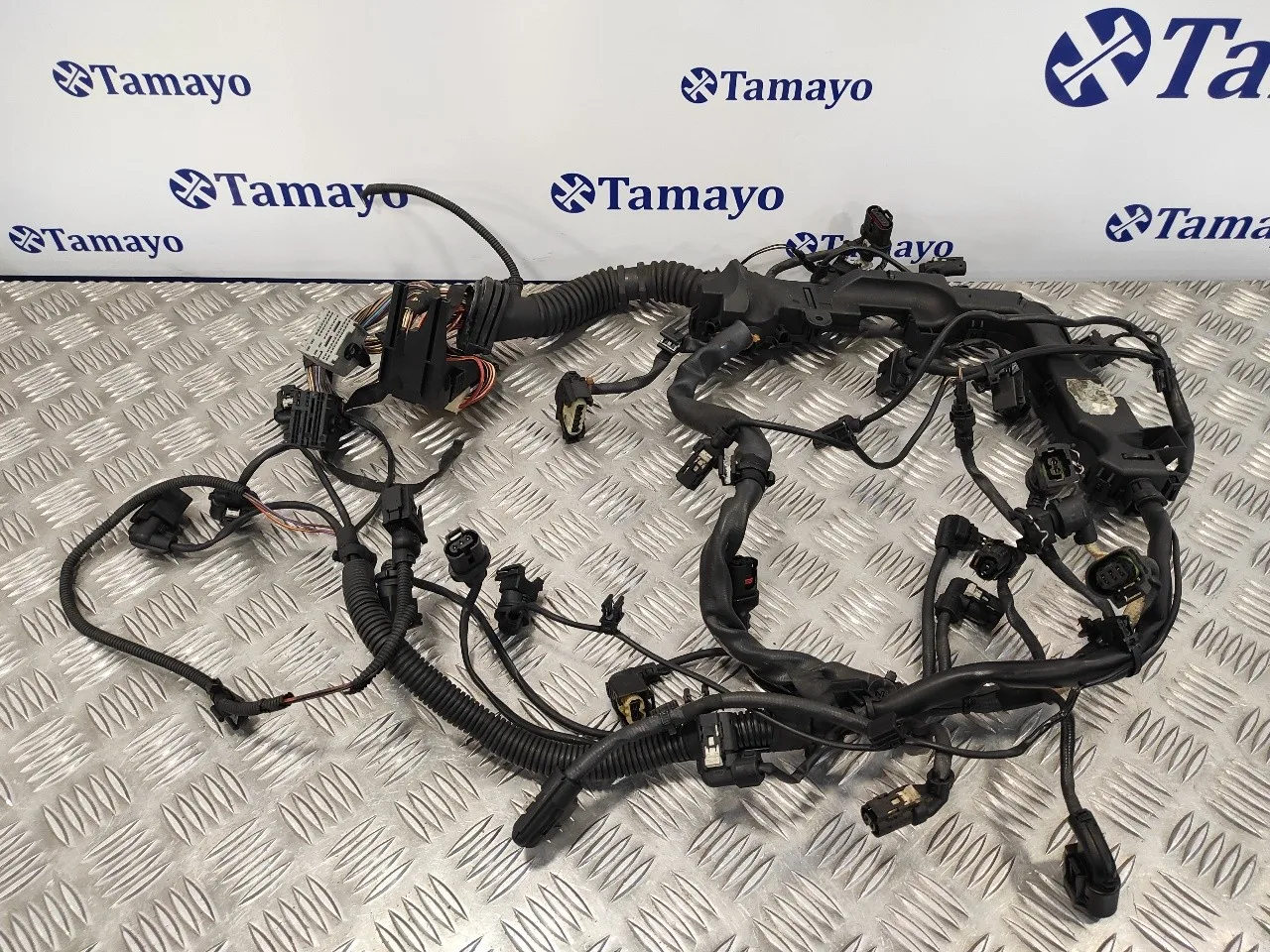 Instalacion Electrica Motor para Bmw Serie 6 Coupe (F13) (....->)