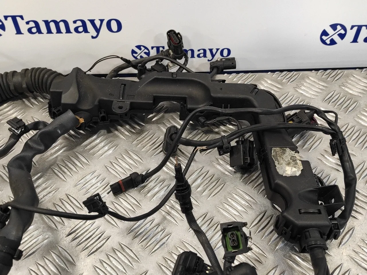 Instalacion Electrica Motor para Bmw Serie 6 Coupe (F13) (....->)