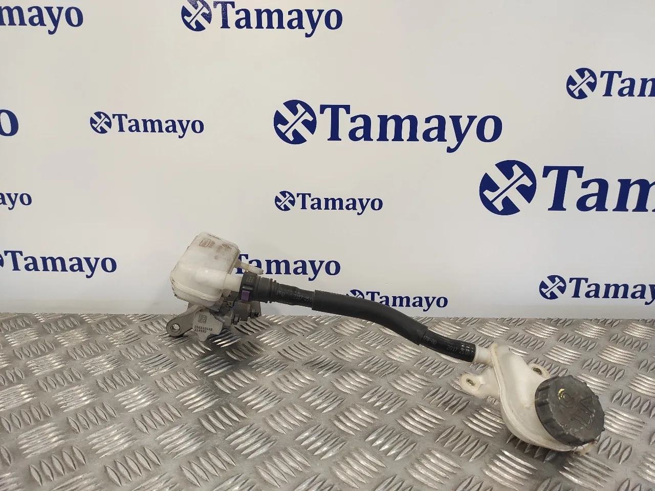 Bomba Freno para Ford Fiesta (Cb1)