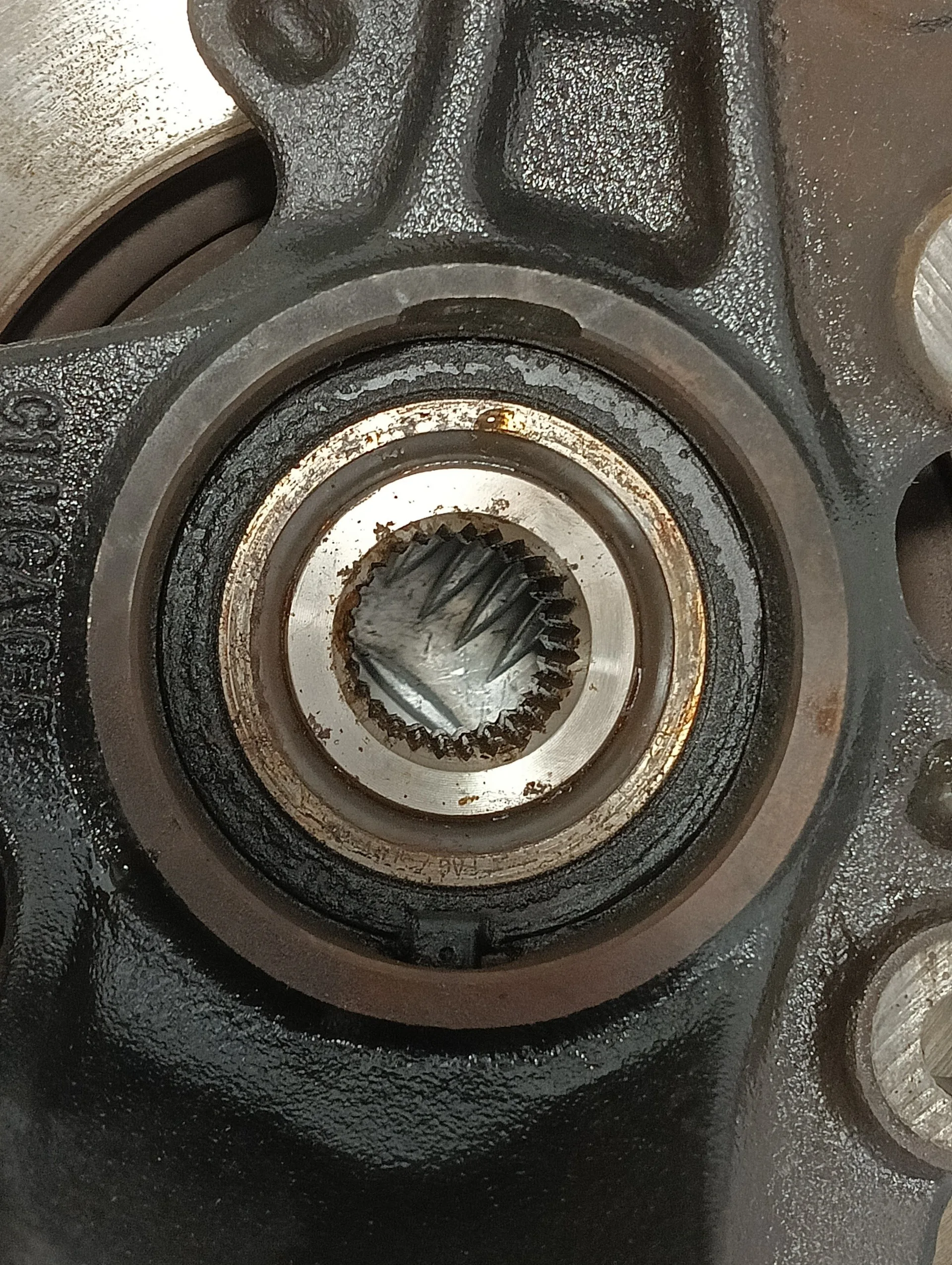 Mangueta Delantera Derecha para Ford Focus Lim. (Cb8)