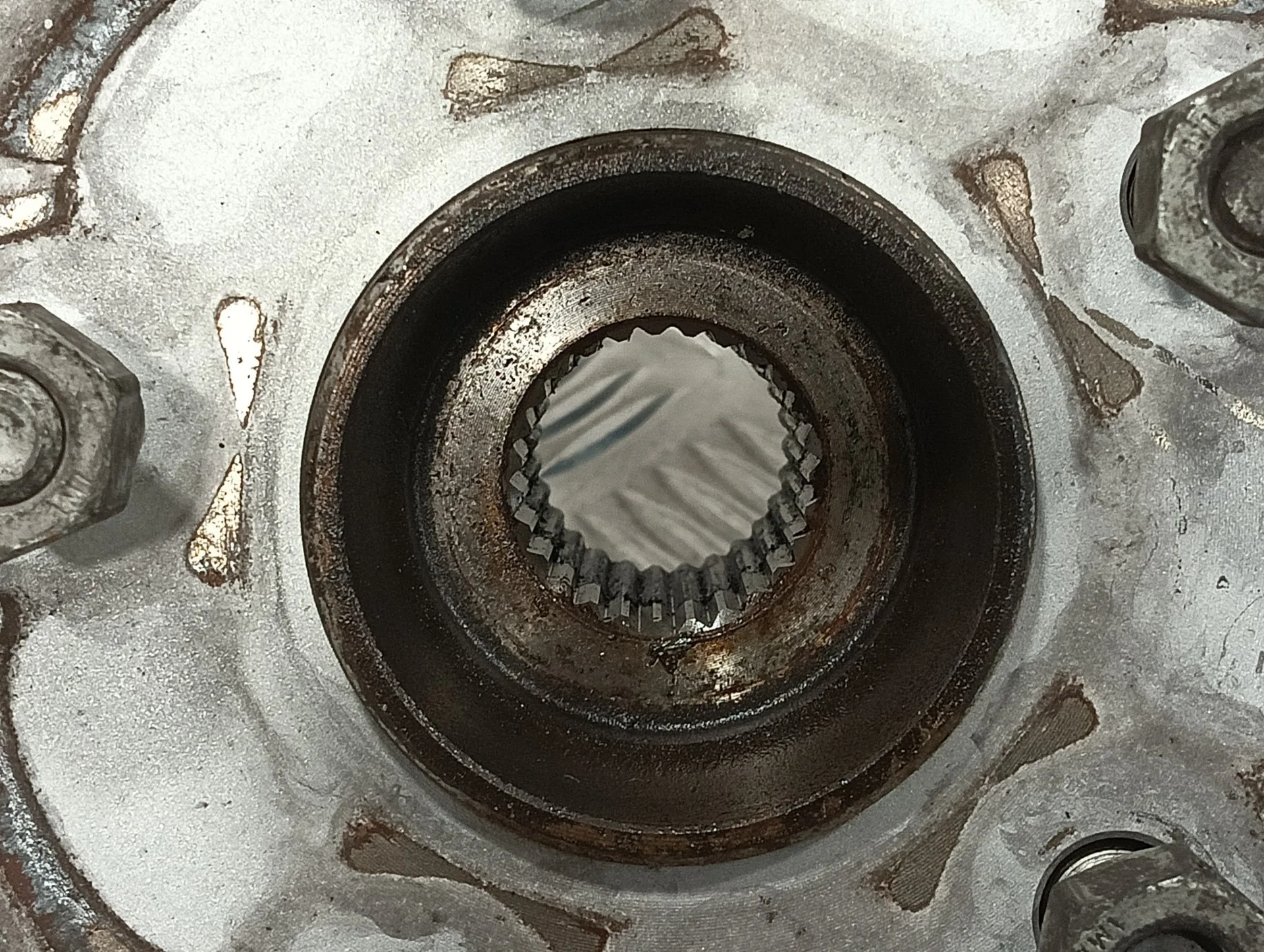 Mangueta Delantera Derecha para Ford Focus Lim. (Cb8)