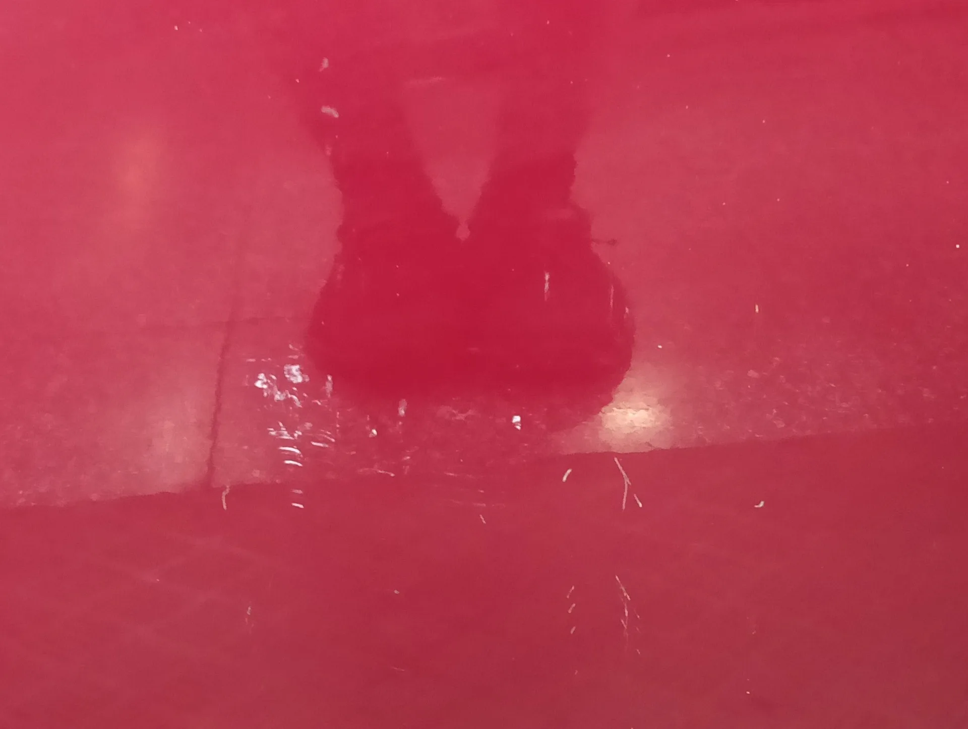 Puerta Delantera Izquierda para Ford Fiesta (Cb1)