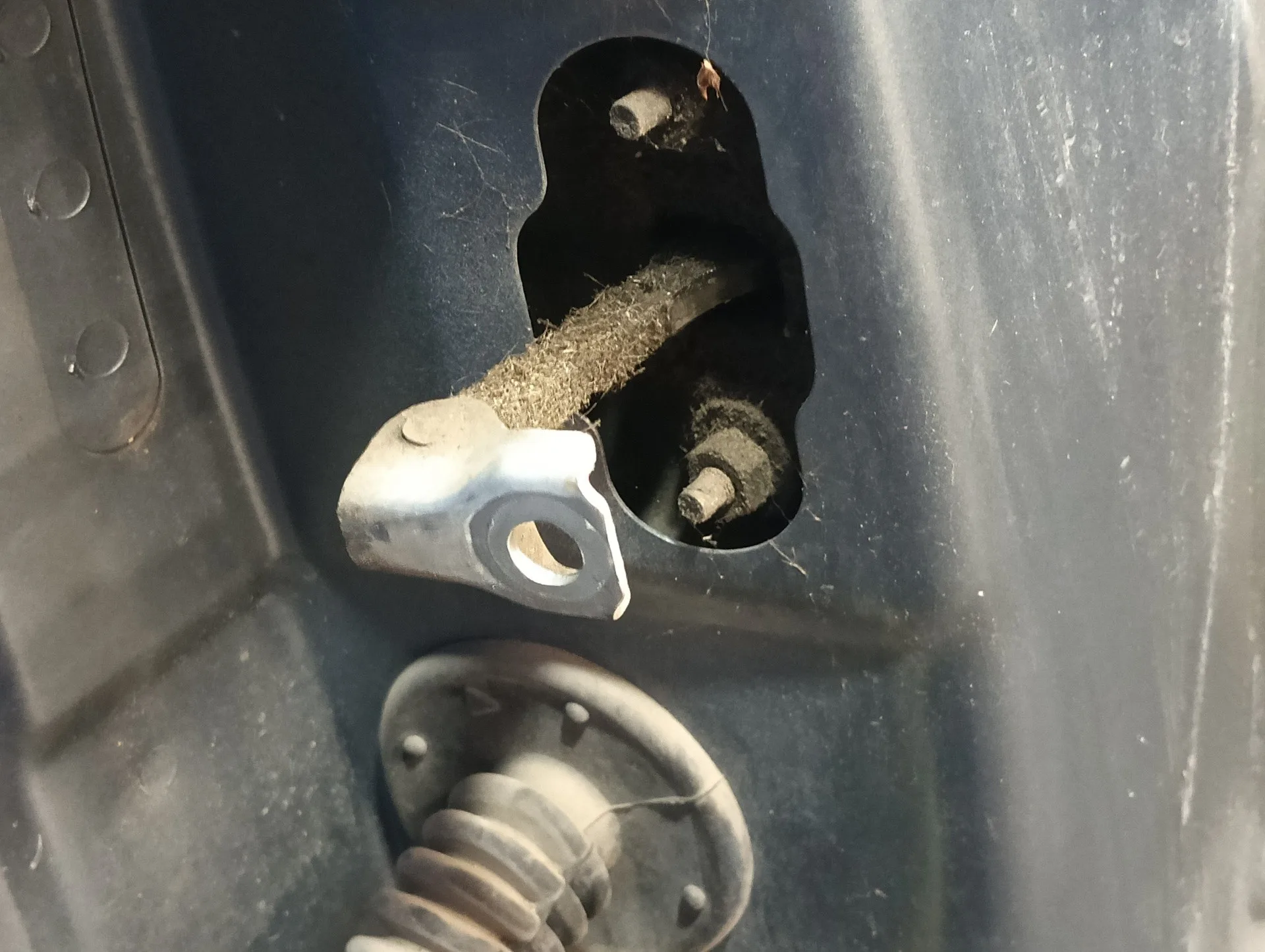Puerta Delantera Derecha para Citroën C2
