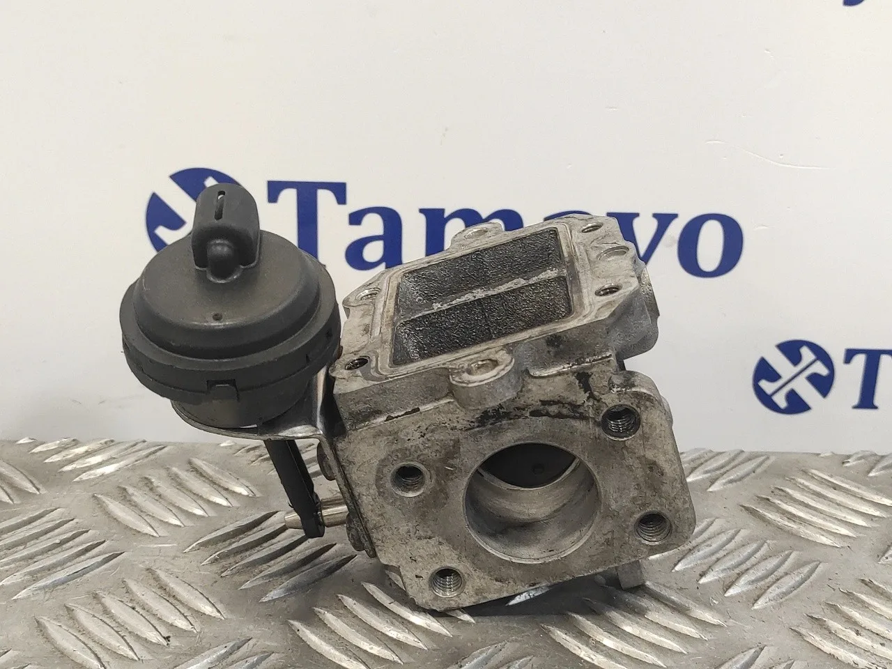 Valvula Egr para Volkswagen Golf Plus (521)
