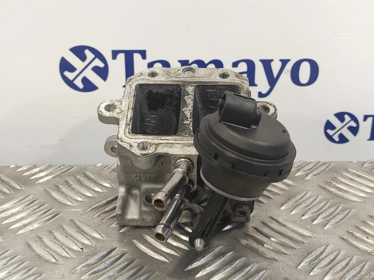 Valvula Egr para Volkswagen Golf Plus (521)