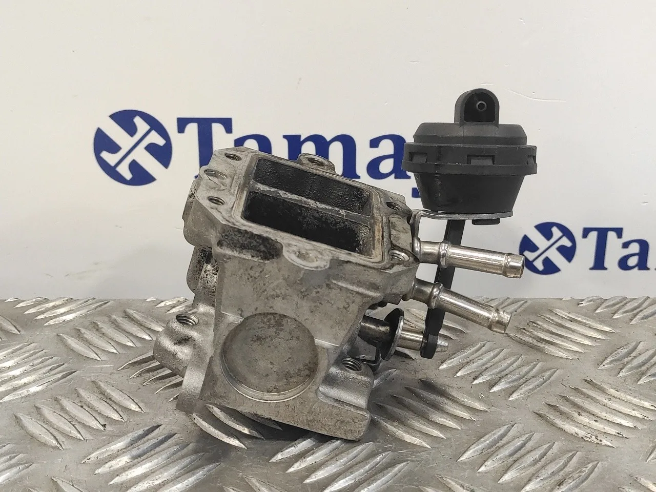 Valvula Egr para Volkswagen Golf Plus (521)