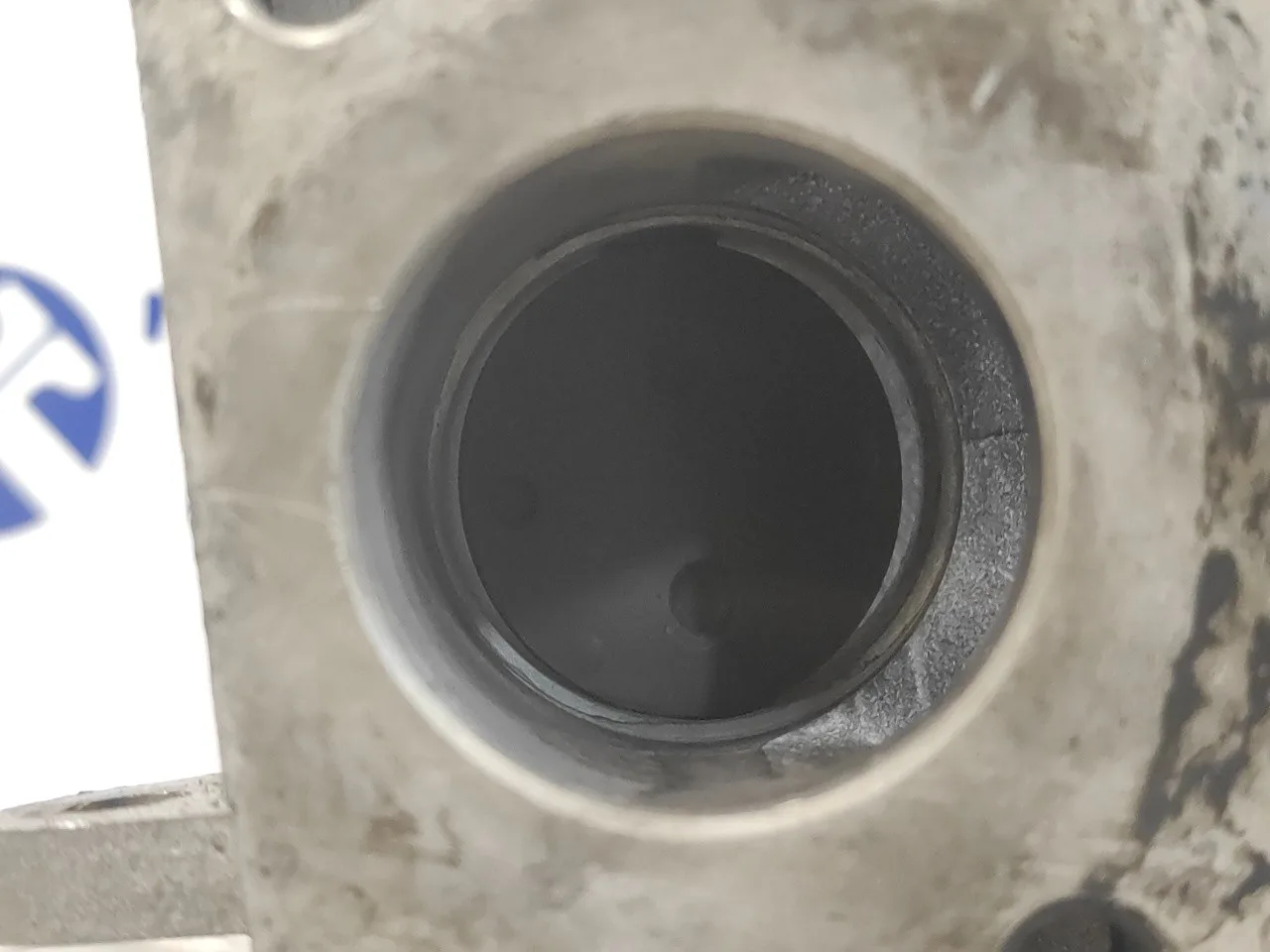 Valvula Egr para Volkswagen Golf Plus (521)
