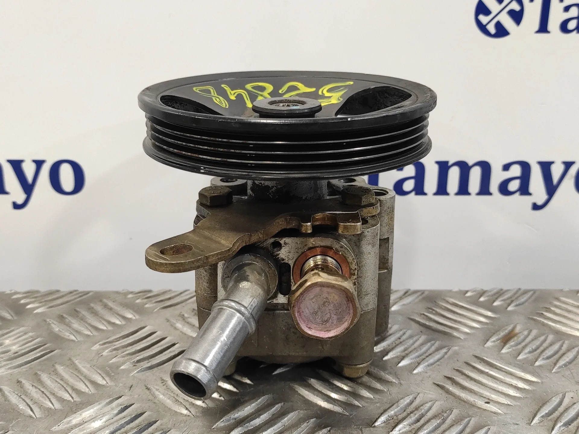 Bomba Servodireccion para Nissan Almera (N16/E)