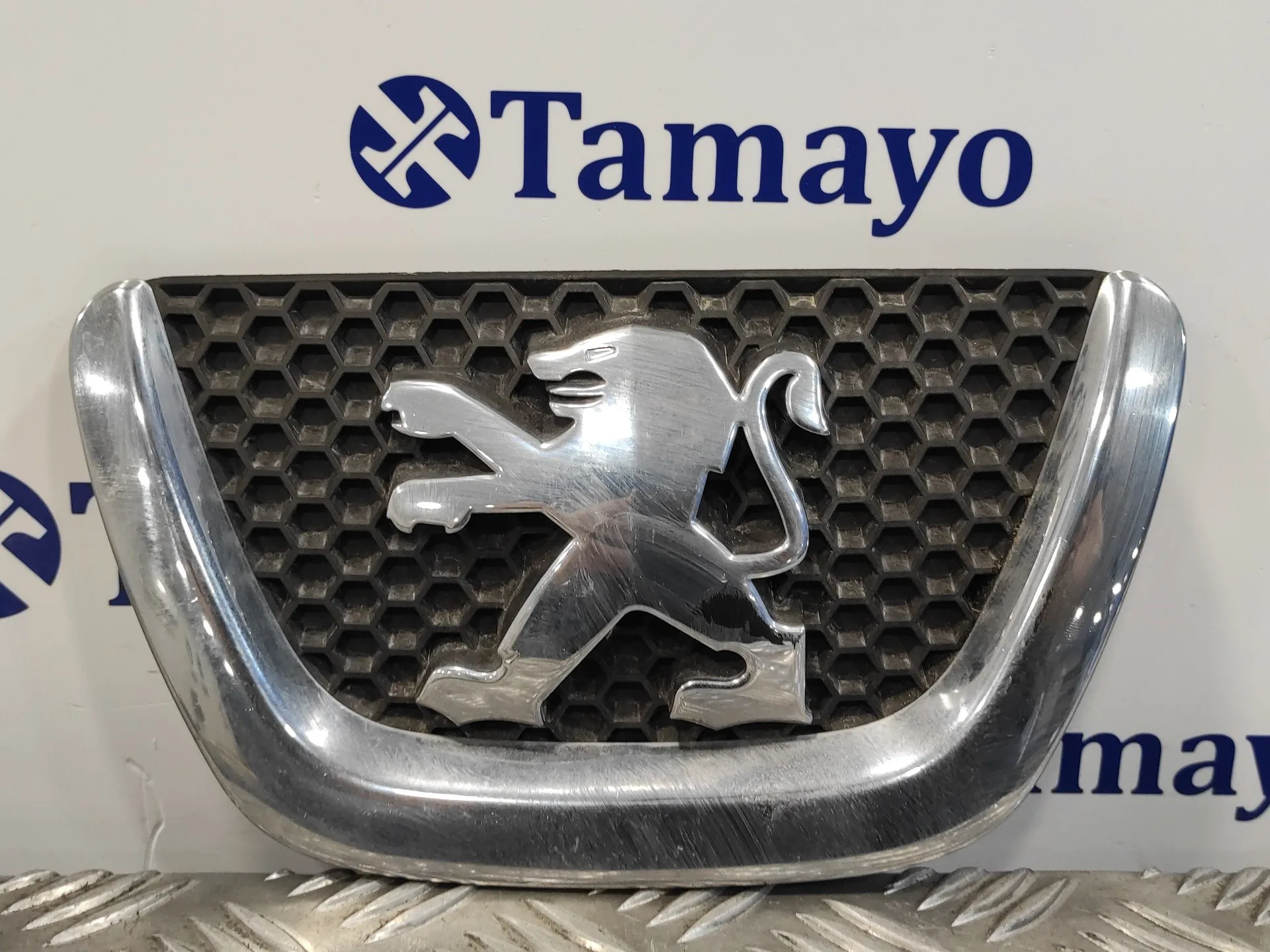 Rejilla Delantera para Peugeot 307 Cc (S2)