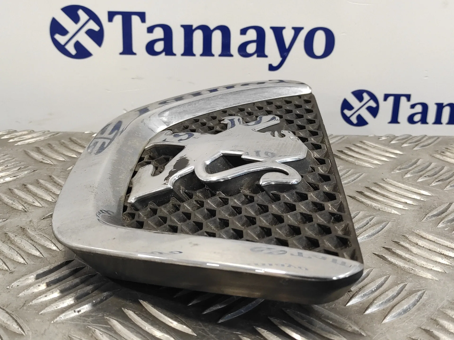 Rejilla Delantera para Peugeot 307 Cc (S2)