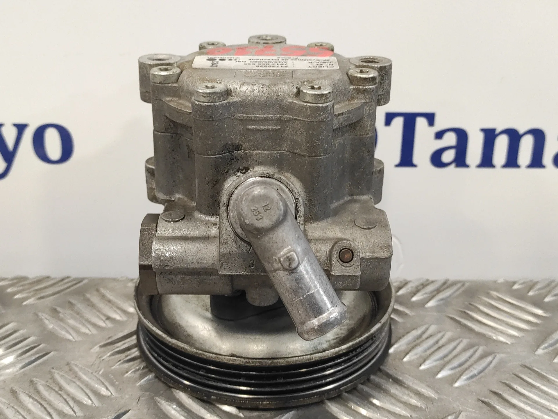Bomba Servodireccion para Fiat Doblo (119)