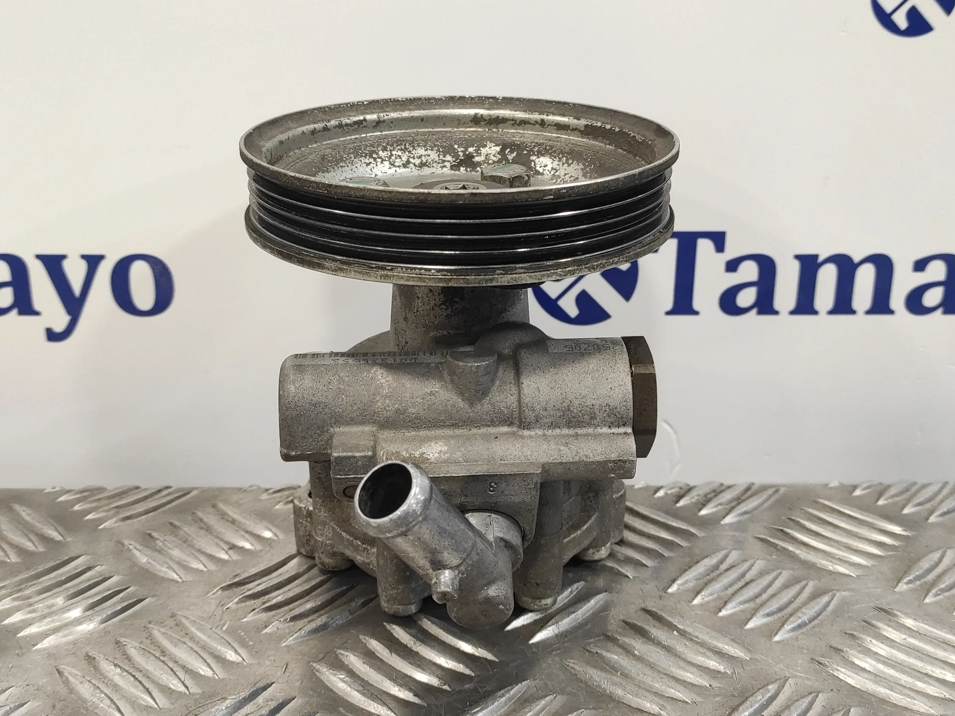 Bomba Servodireccion para Fiat Doblo (119)