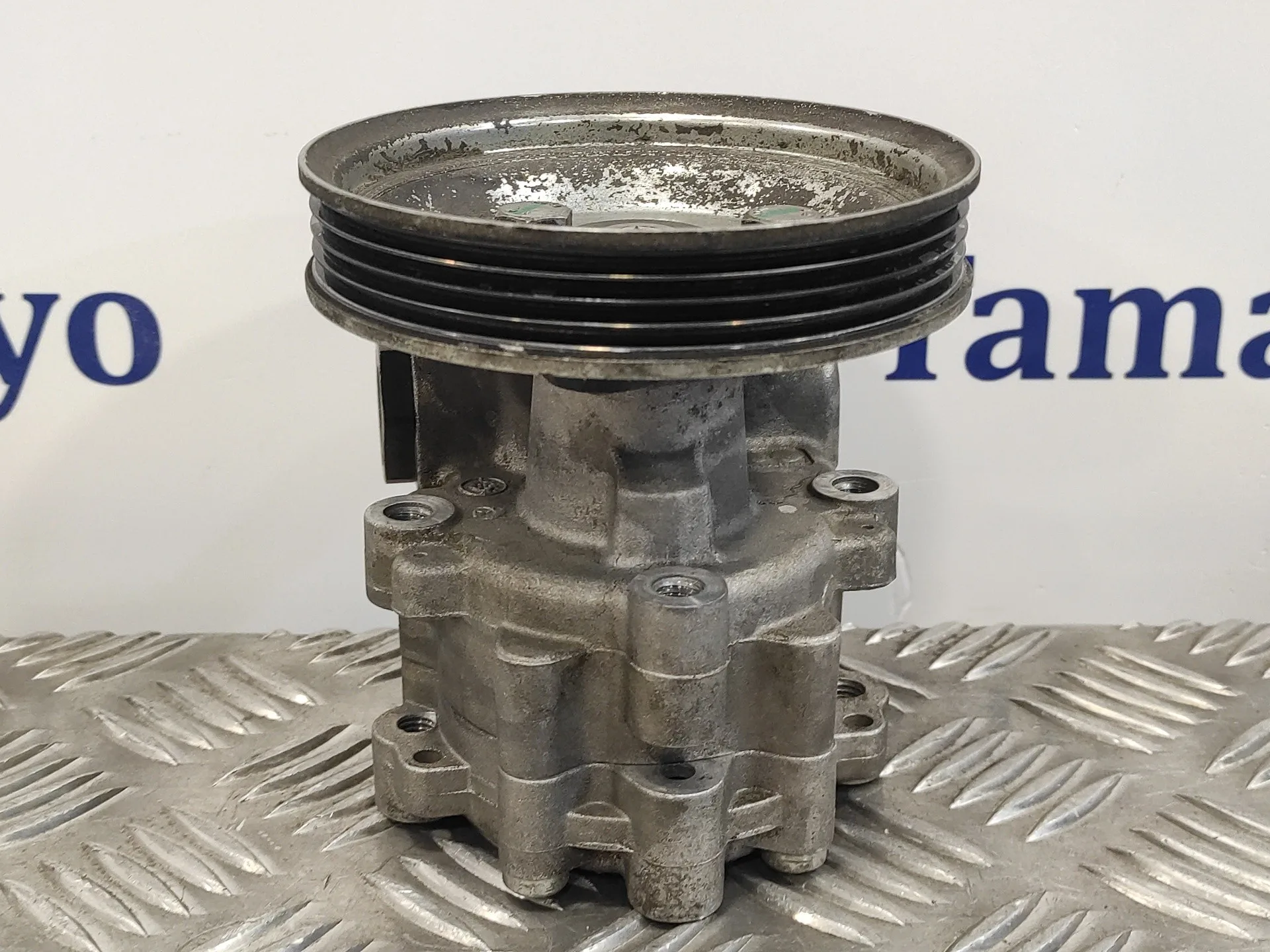 Bomba Servodireccion para Fiat Doblo (119)