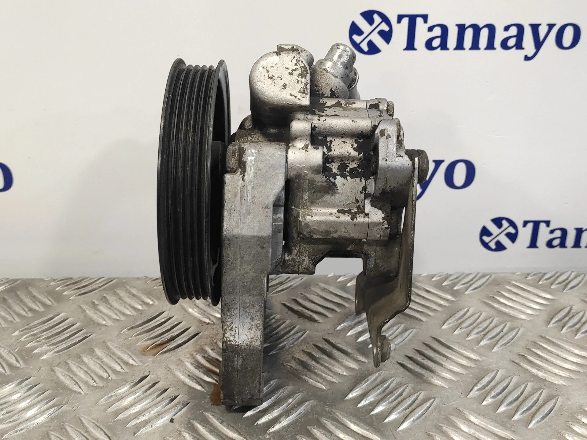 Bomba Servodireccion para Land Rover Freelander (Ln)