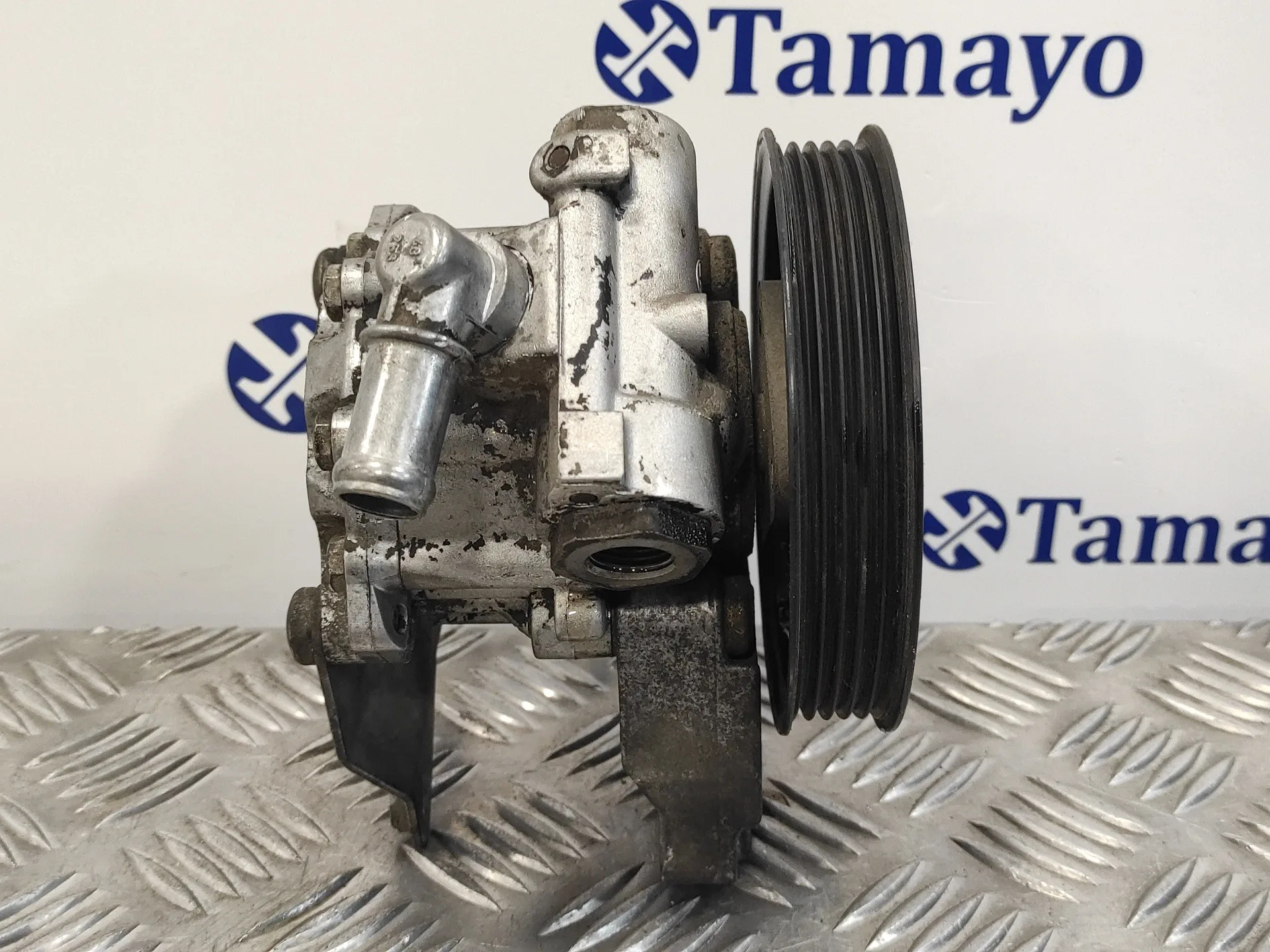 Bomba Servodireccion para Land Rover Freelander (Ln)
